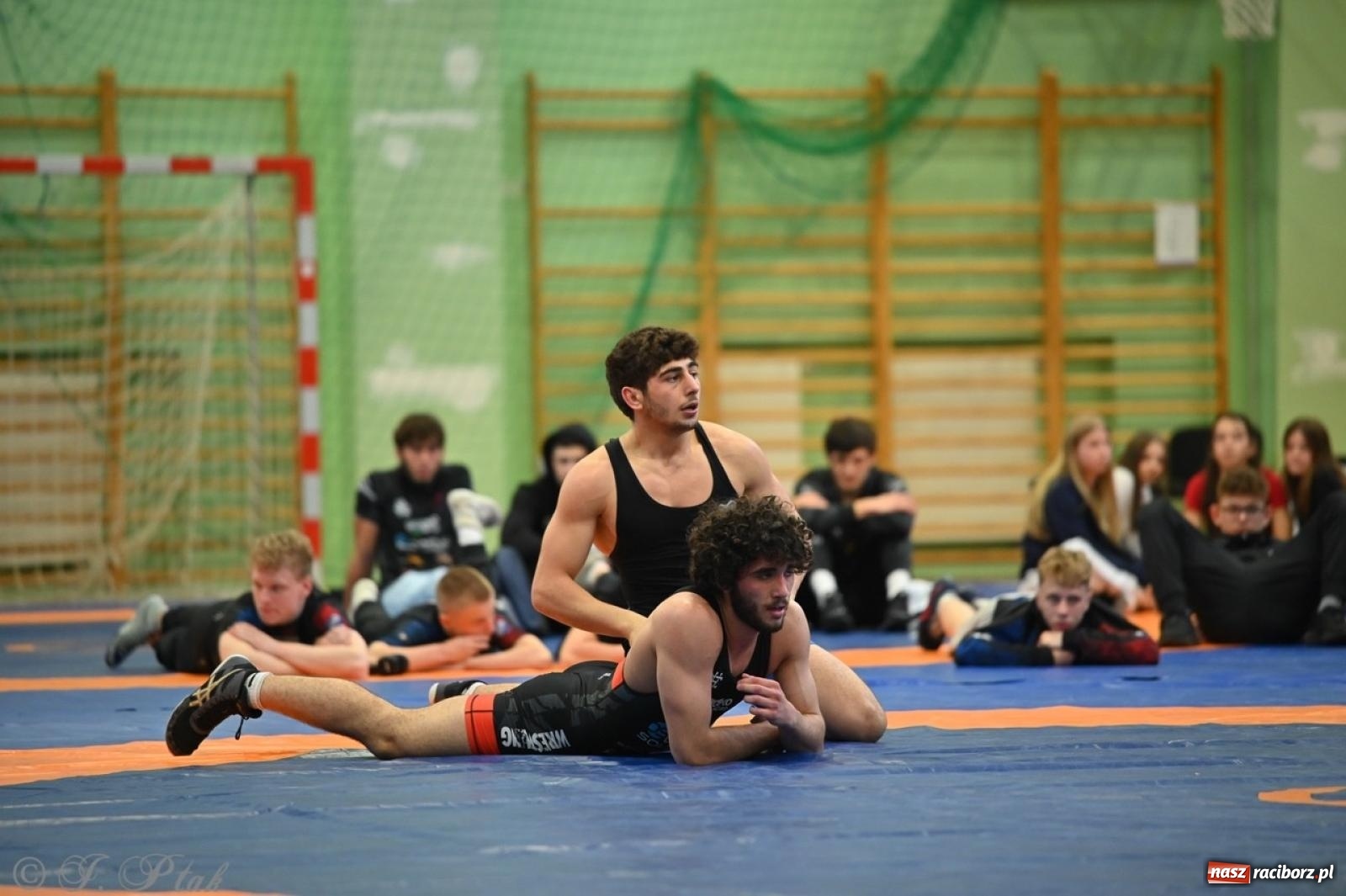 Zdjęcie w galerii na portalu naszraciborz.pl: Międzynarodowe starcie na matach. Racibórz gospodarzem Mistrzostw Polski Juniorów w zapasach klasycznych wiadomości z regionu