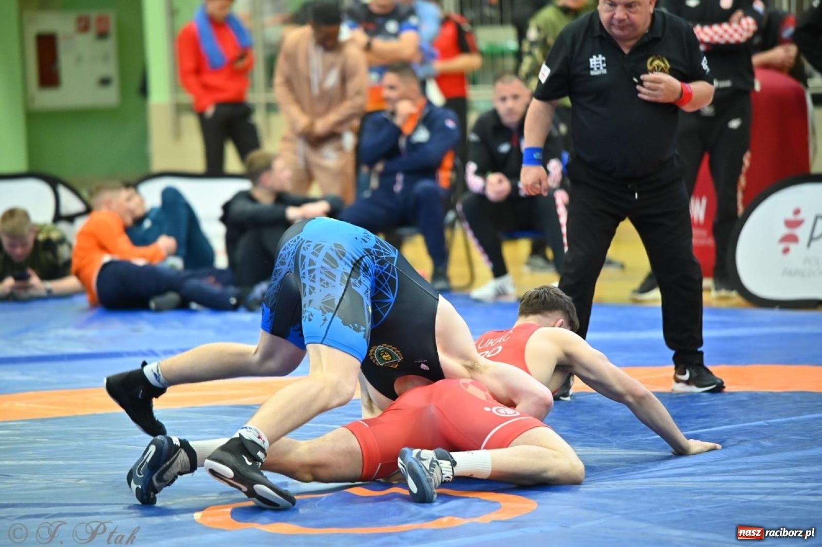 Zdjęcie w galerii na portalu naszraciborz.pl: Międzynarodowe starcie na matach. Racibórz gospodarzem Mistrzostw Polski Juniorów w zapasach klasycznych wiadomości z regionu