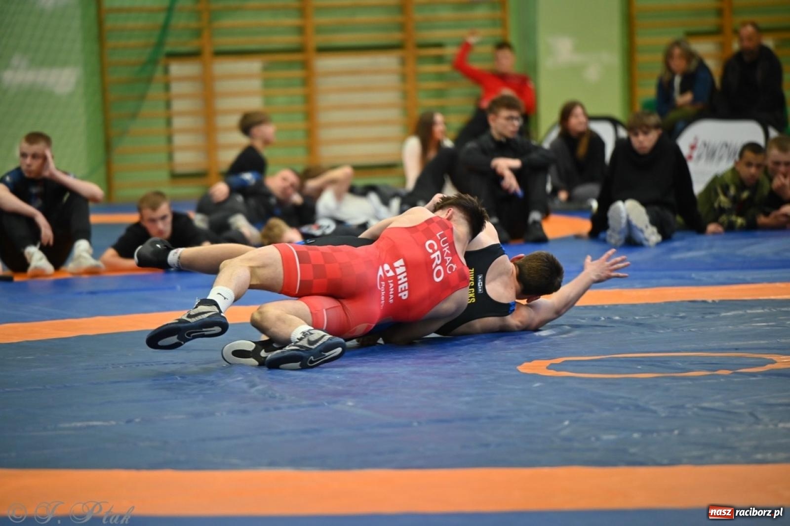 Zdjęcie w galerii na portalu naszraciborz.pl: Międzynarodowe starcie na matach. Racibórz gospodarzem Mistrzostw Polski Juniorów w zapasach klasycznych wiadomości z regionu