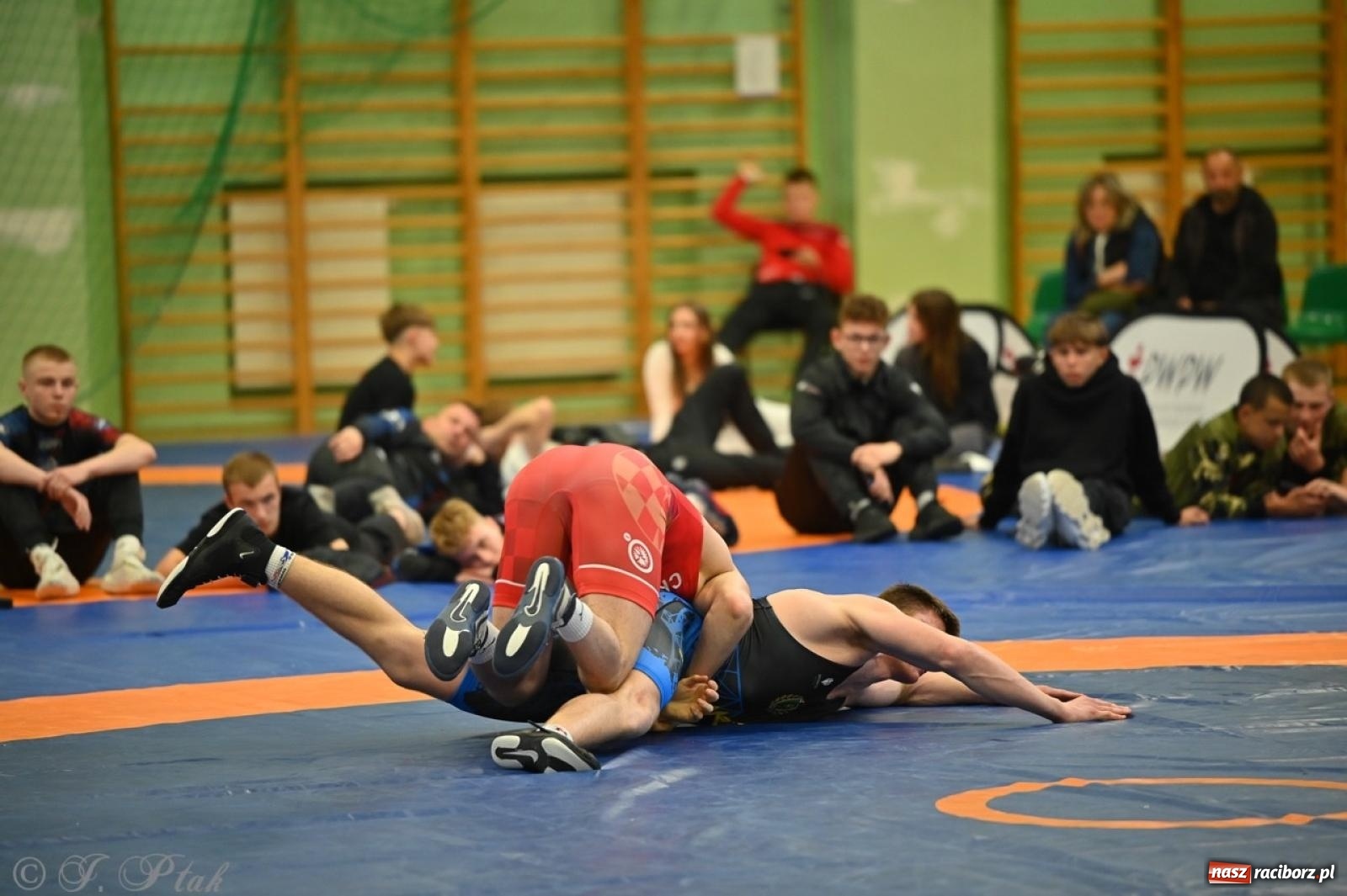 Zdjęcie w galerii na portalu naszraciborz.pl: Międzynarodowe starcie na matach. Racibórz gospodarzem Mistrzostw Polski Juniorów w zapasach klasycznych wiadomości z regionu