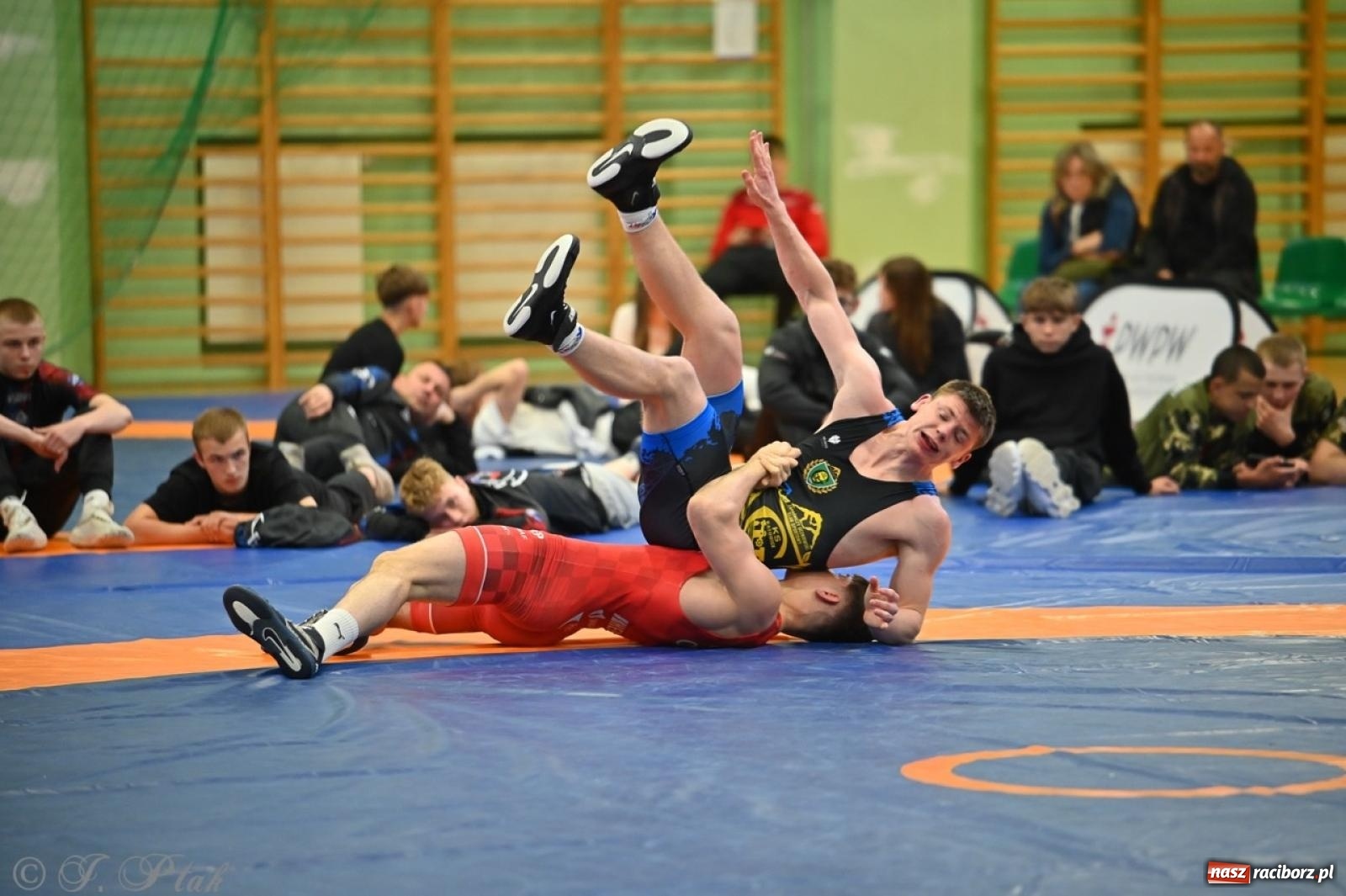 Zdjęcie w galerii na portalu naszraciborz.pl: Międzynarodowe starcie na matach. Racibórz gospodarzem Mistrzostw Polski Juniorów w zapasach klasycznych wiadomości z regionu