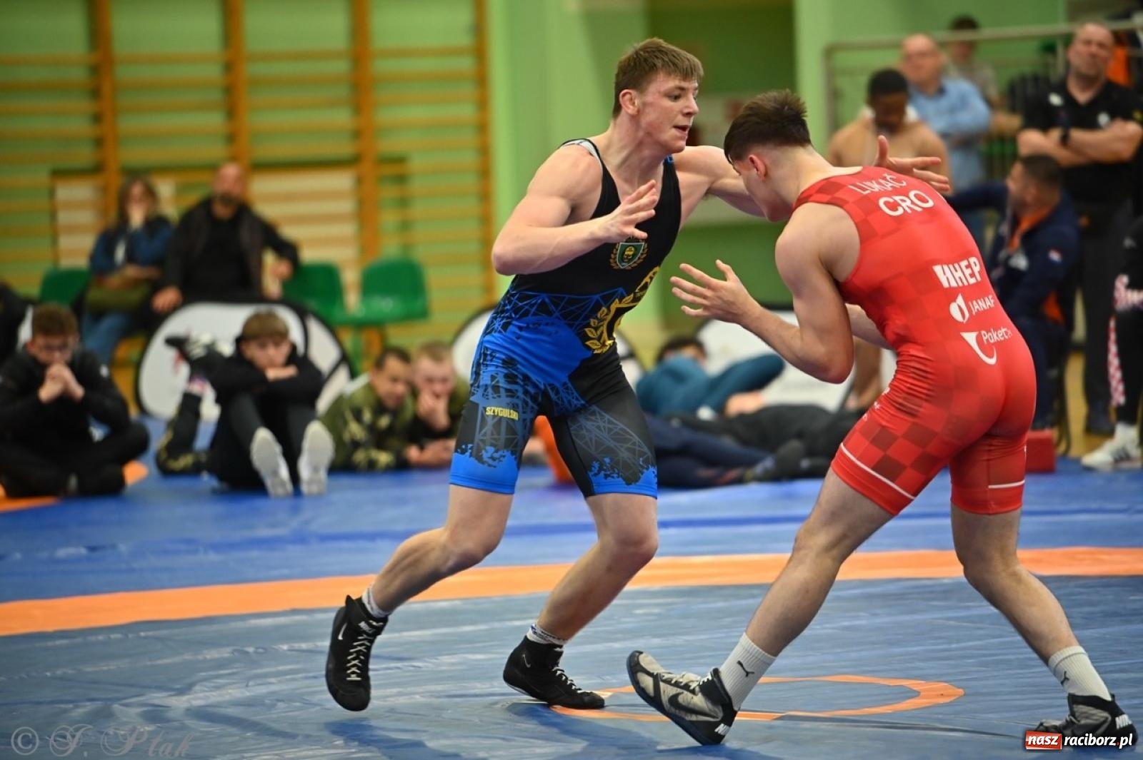 Zdjęcie w galerii na portalu naszraciborz.pl: Międzynarodowe starcie na matach. Racibórz gospodarzem Mistrzostw Polski Juniorów w zapasach klasycznych wiadomości z regionu