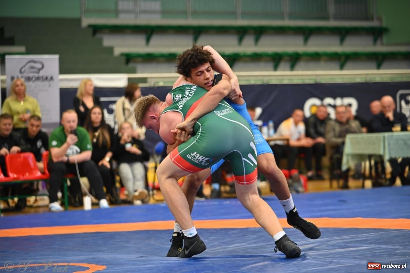 Zdjęcie w galerii na portalu naszraciborz.pl: Międzynarodowe starcie na matach. Racibórz gospodarzem Mistrzostw Polski Juniorów w zapasach klasycznych wiadomości z regionu