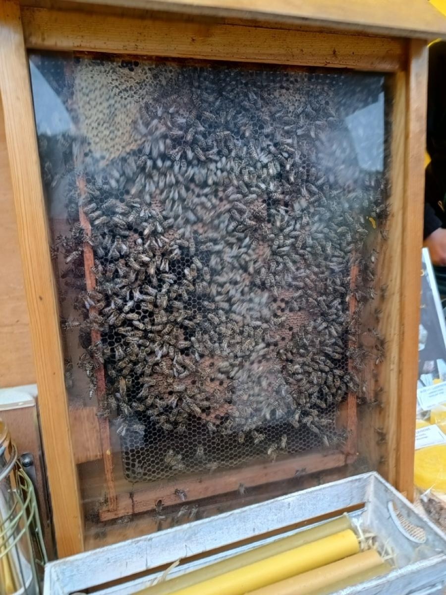 Zdjęcie w galerii na portalu naszraciborz.pl: Deszcz niestraszny pasjonatom – IV Jarmark Rękodzieła Regionalnego w Rudach pełen atrakcji wiadomości z regionu