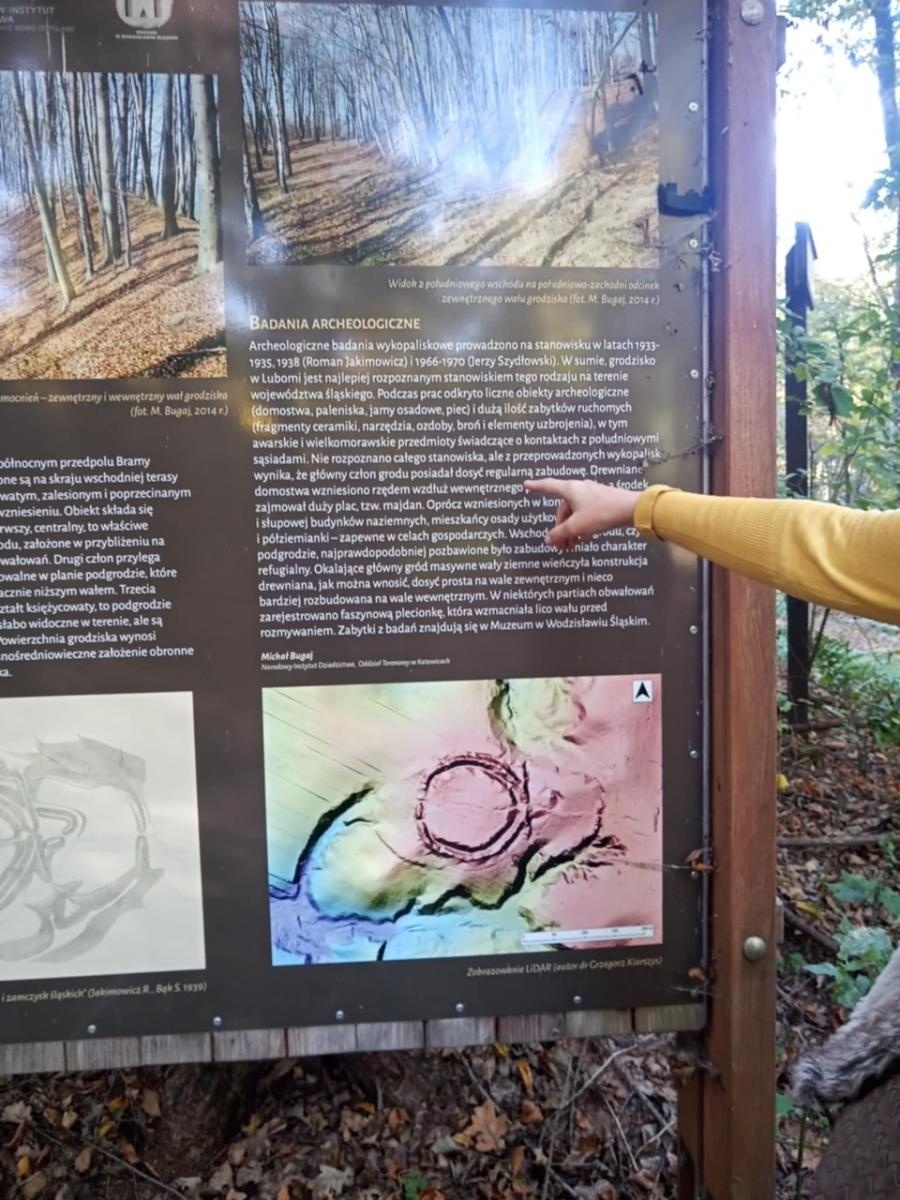 Zdjęcie w galerii na portalu naszraciborz.pl: LIST DO REDAKCJI Lasy rudzkie kiedyś były cennymi płucami Śląska – co się z nimi dzieje? wiadomości z regionu