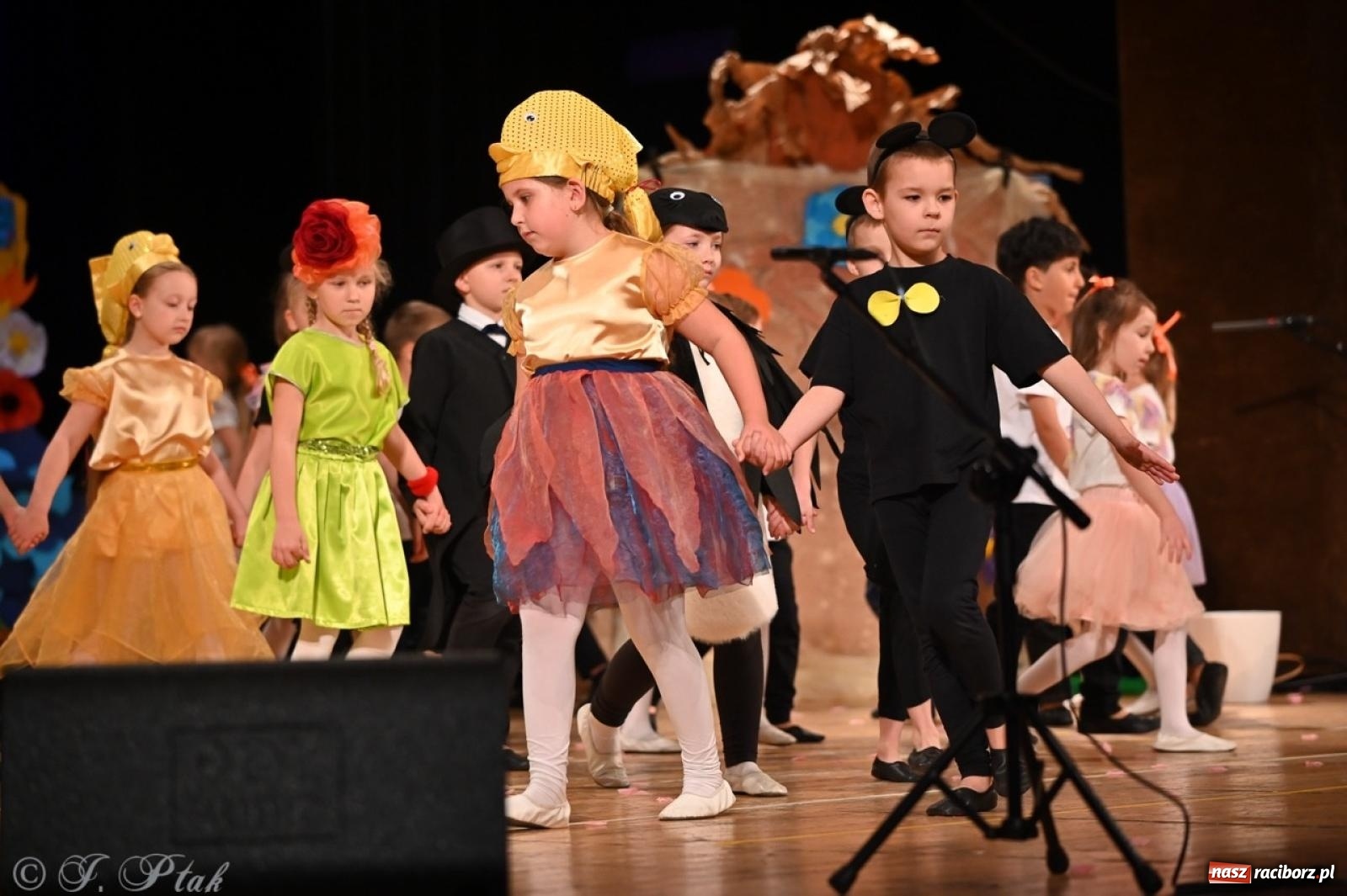 Zdjęcie w galerii na portalu naszraciborz.pl: Dzieci z Przedszkola nr 11 świętowały Dzień Mamy i Taty na scenie RCK wiadomości z regionu