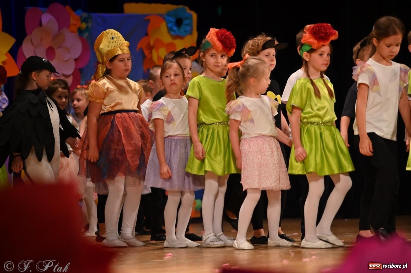 Zdjęcie w galerii na portalu naszraciborz.pl: Dzieci z Przedszkola nr 11 świętowały Dzień Mamy i Taty na scenie RCK wiadomości z regionu
