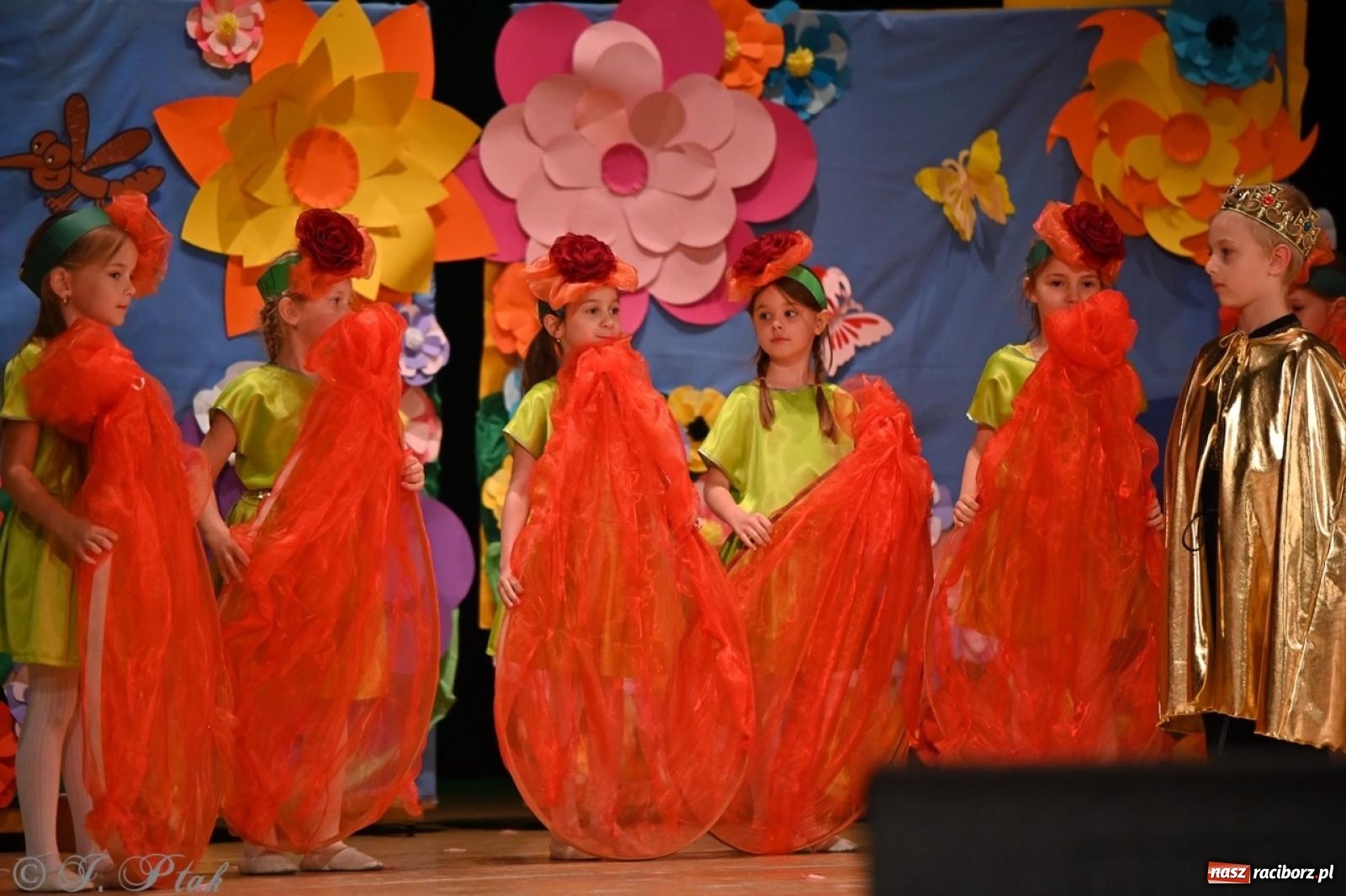 Zdjęcie w galerii na portalu naszraciborz.pl: Dzieci z Przedszkola nr 11 świętowały Dzień Mamy i Taty na scenie RCK wiadomości z regionu