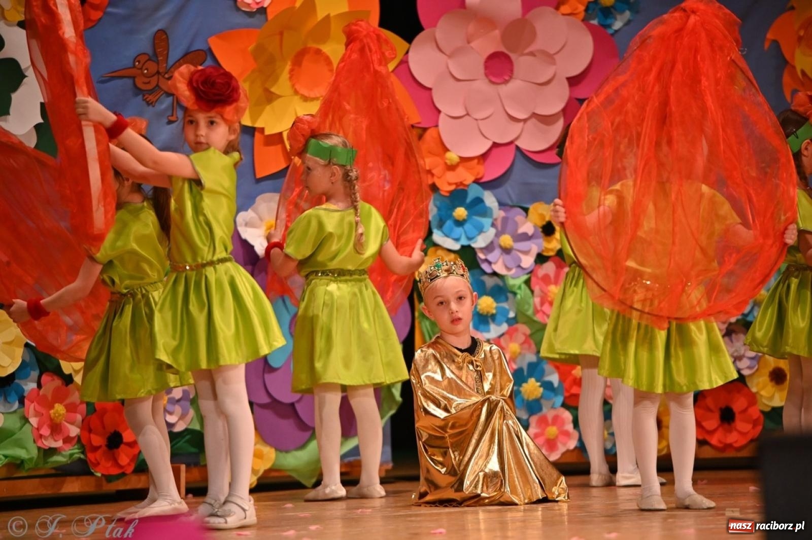 Zdjęcie w galerii na portalu naszraciborz.pl: Dzieci z Przedszkola nr 11 świętowały Dzień Mamy i Taty na scenie RCK wiadomości z regionu