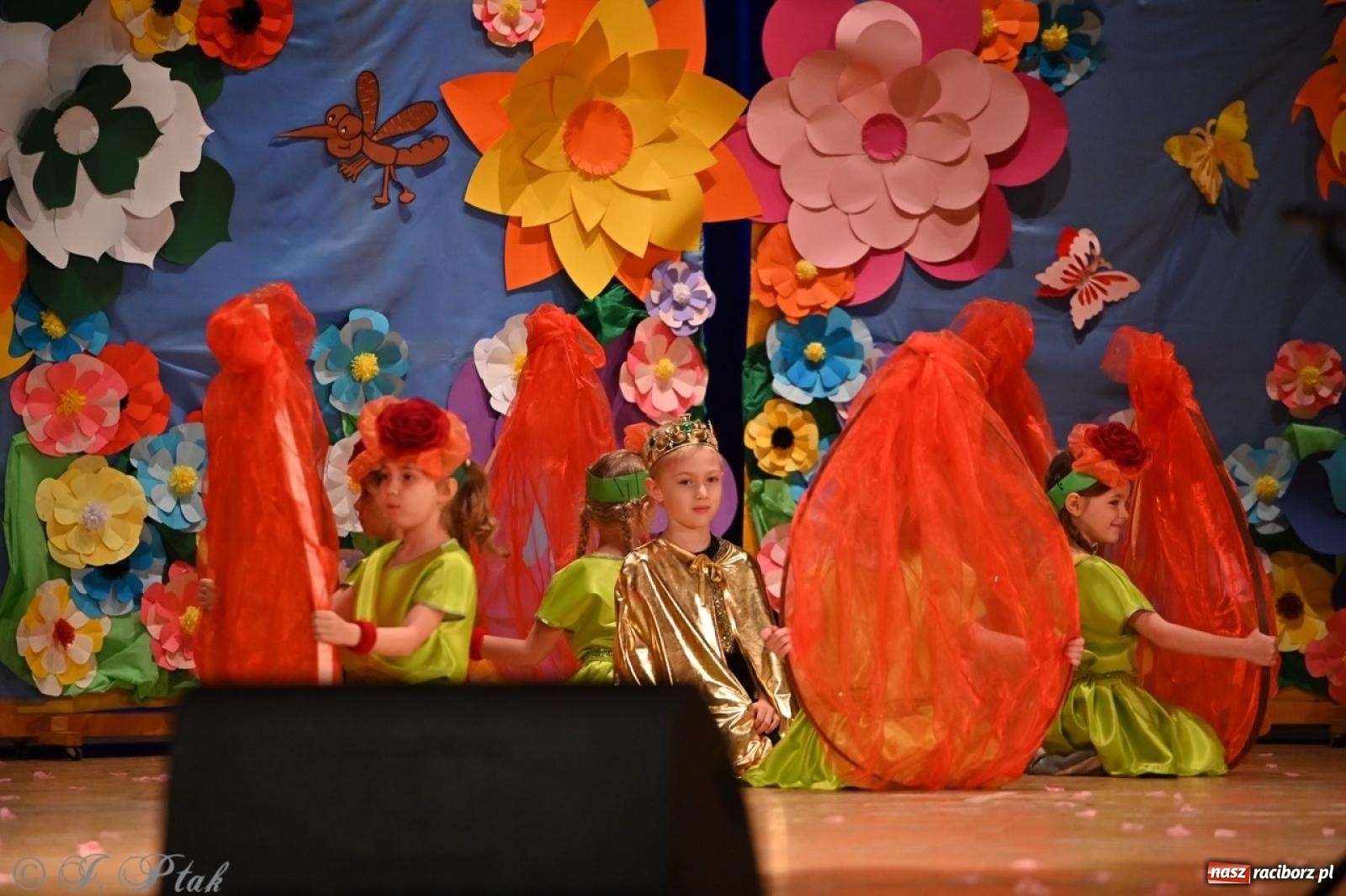 Zdjęcie w galerii na portalu naszraciborz.pl: Dzieci z Przedszkola nr 11 świętowały Dzień Mamy i Taty na scenie RCK wiadomości z regionu