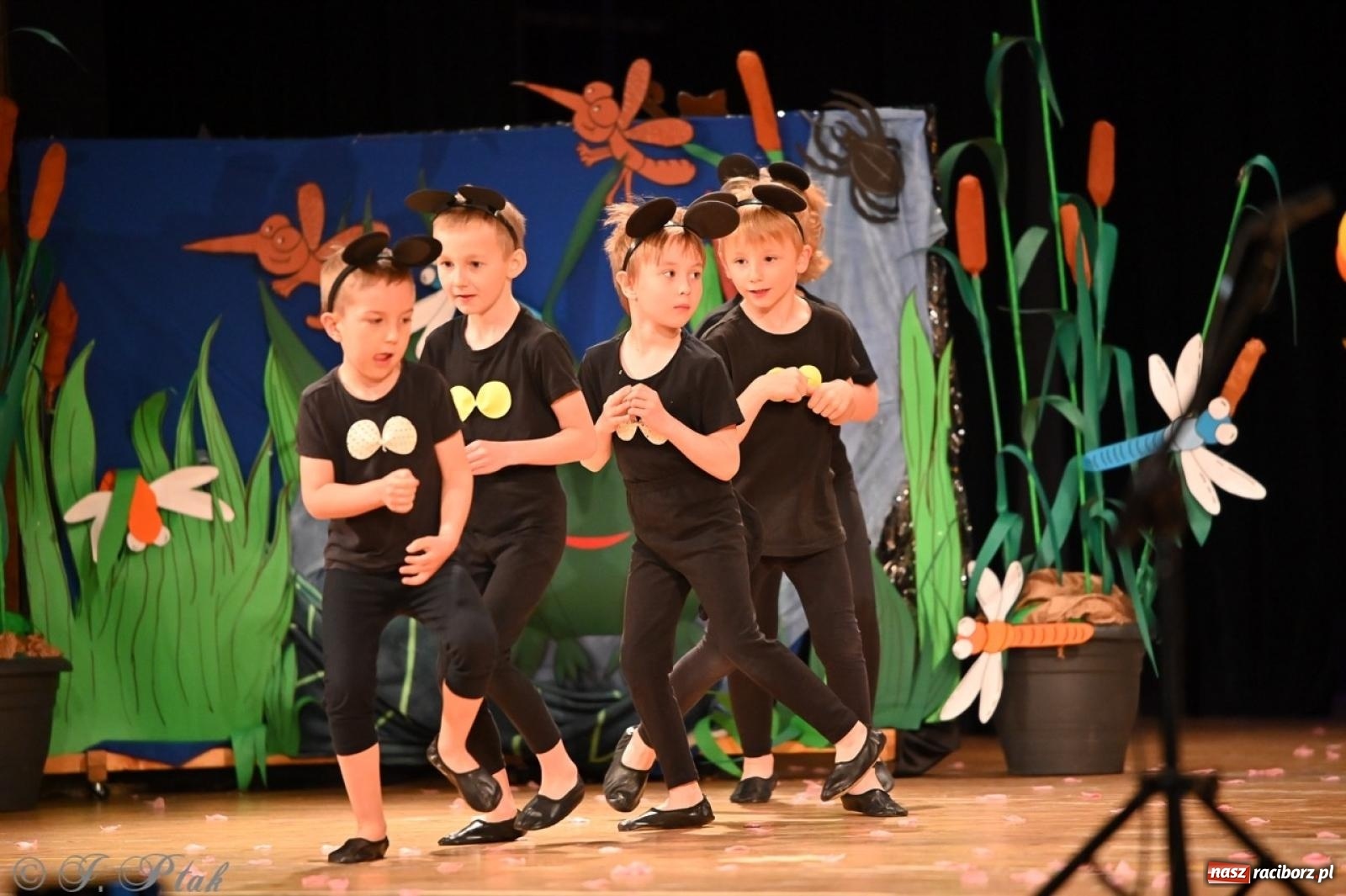 Zdjęcie w galerii na portalu naszraciborz.pl: Dzieci z Przedszkola nr 11 świętowały Dzień Mamy i Taty na scenie RCK wiadomości z regionu