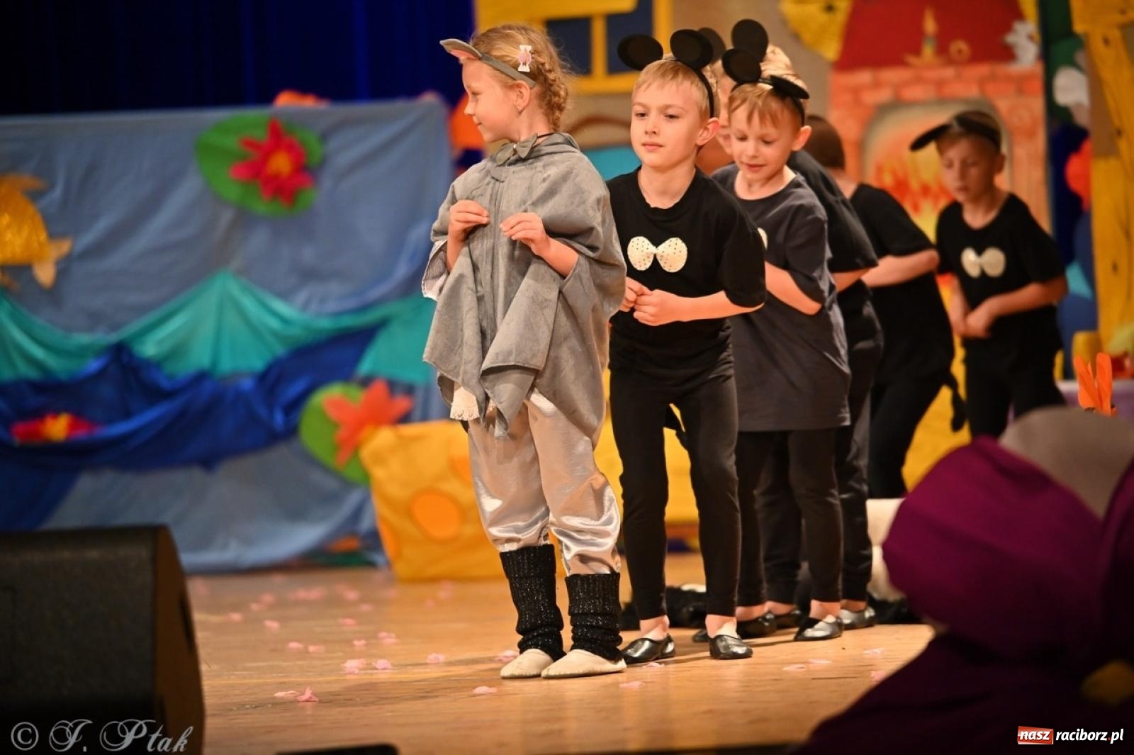 Zdjęcie w galerii na portalu naszraciborz.pl: Dzieci z Przedszkola nr 11 świętowały Dzień Mamy i Taty na scenie RCK wiadomości z regionu
