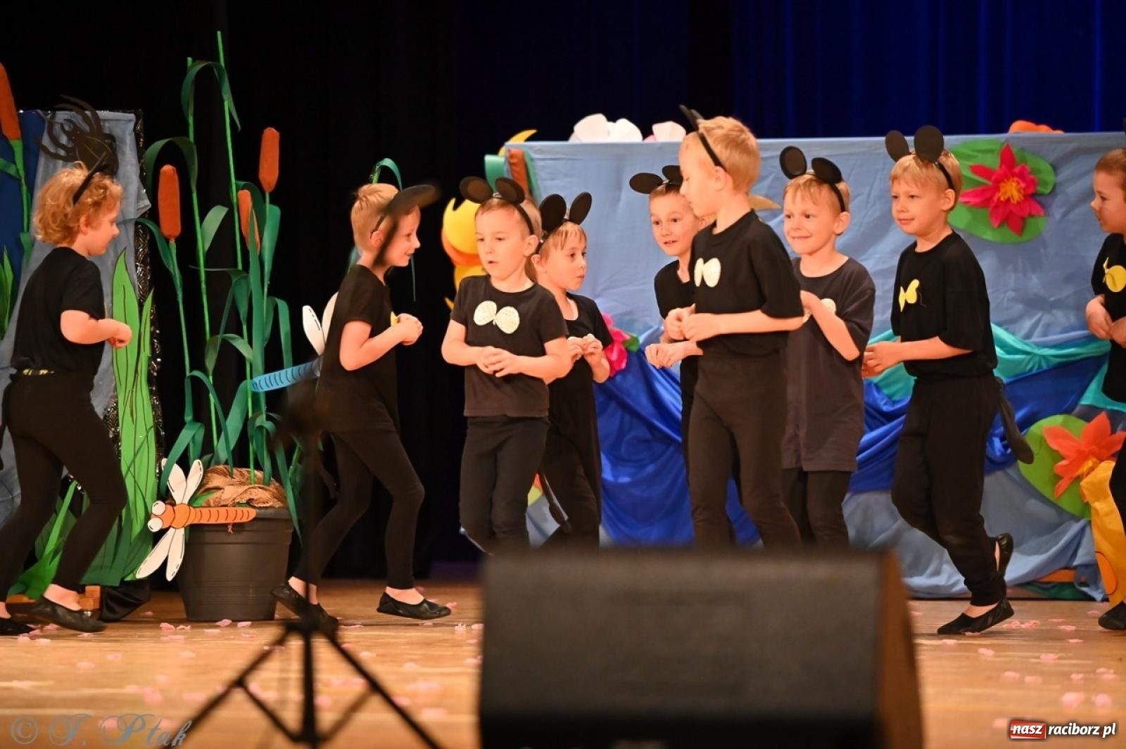 Zdjęcie w galerii na portalu naszraciborz.pl: Dzieci z Przedszkola nr 11 świętowały Dzień Mamy i Taty na scenie RCK wiadomości z regionu