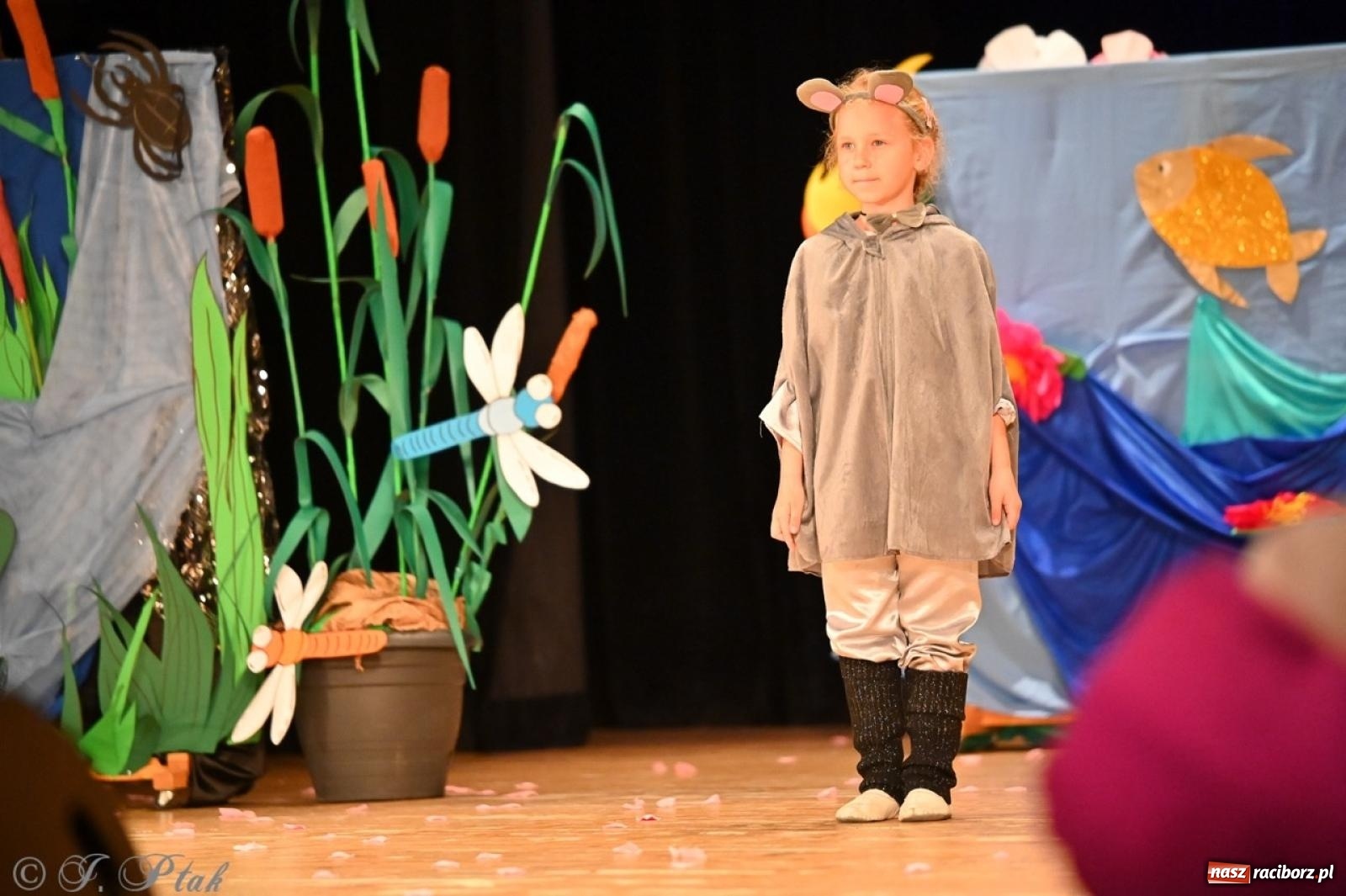 Zdjęcie w galerii na portalu naszraciborz.pl: Dzieci z Przedszkola nr 11 świętowały Dzień Mamy i Taty na scenie RCK wiadomości z regionu