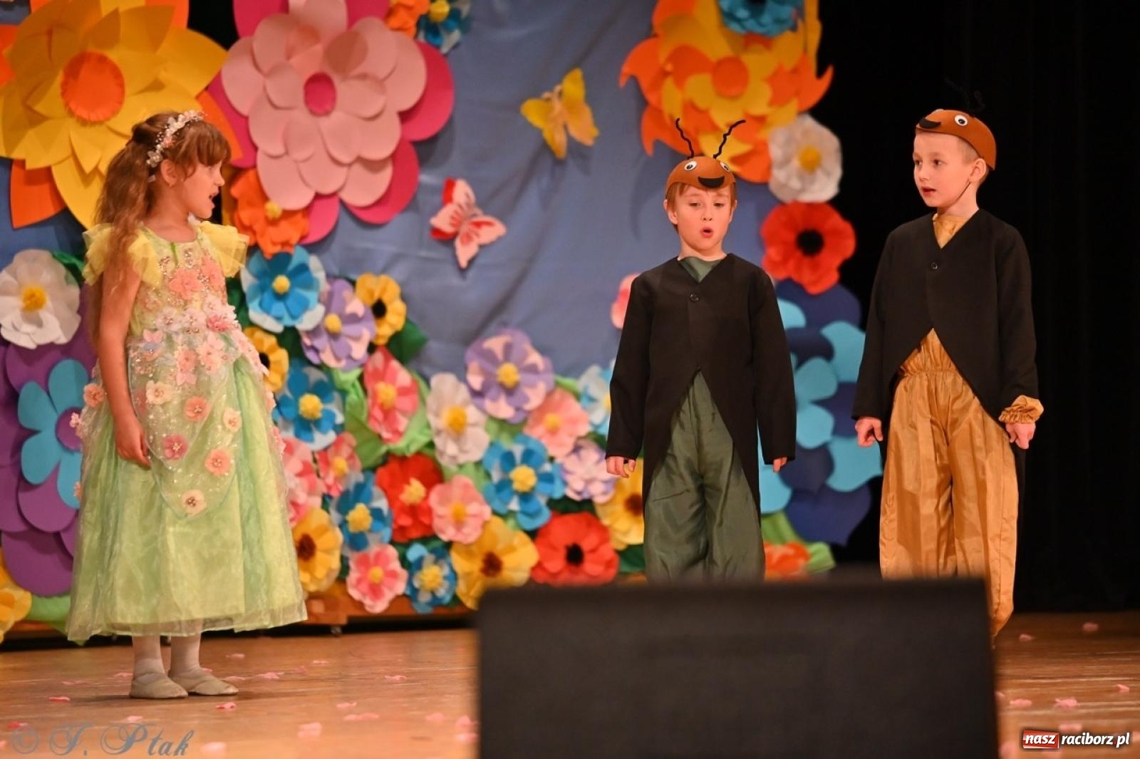 Zdjęcie w galerii na portalu naszraciborz.pl: Dzieci z Przedszkola nr 11 świętowały Dzień Mamy i Taty na scenie RCK wiadomości z regionu