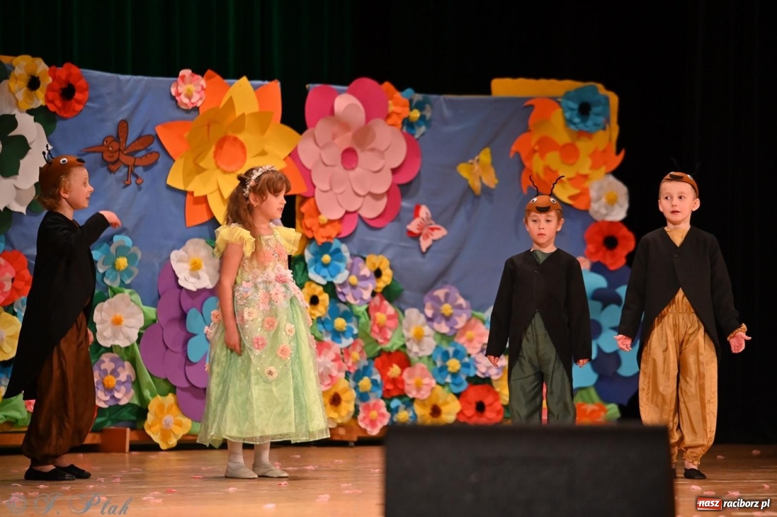 Zdjęcie w galerii na portalu naszraciborz.pl: Dzieci z Przedszkola nr 11 świętowały Dzień Mamy i Taty na scenie RCK wiadomości z regionu