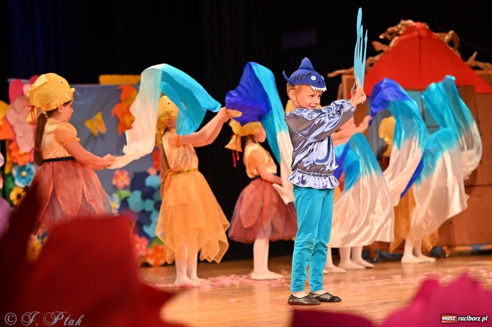 Zdjęcie w galerii na portalu naszraciborz.pl: Dzieci z Przedszkola nr 11 świętowały Dzień Mamy i Taty na scenie RCK wiadomości z regionu