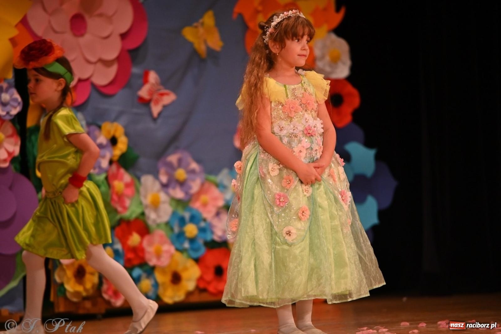 Zdjęcie w galerii na portalu naszraciborz.pl: Dzieci z Przedszkola nr 11 świętowały Dzień Mamy i Taty na scenie RCK wiadomości z regionu