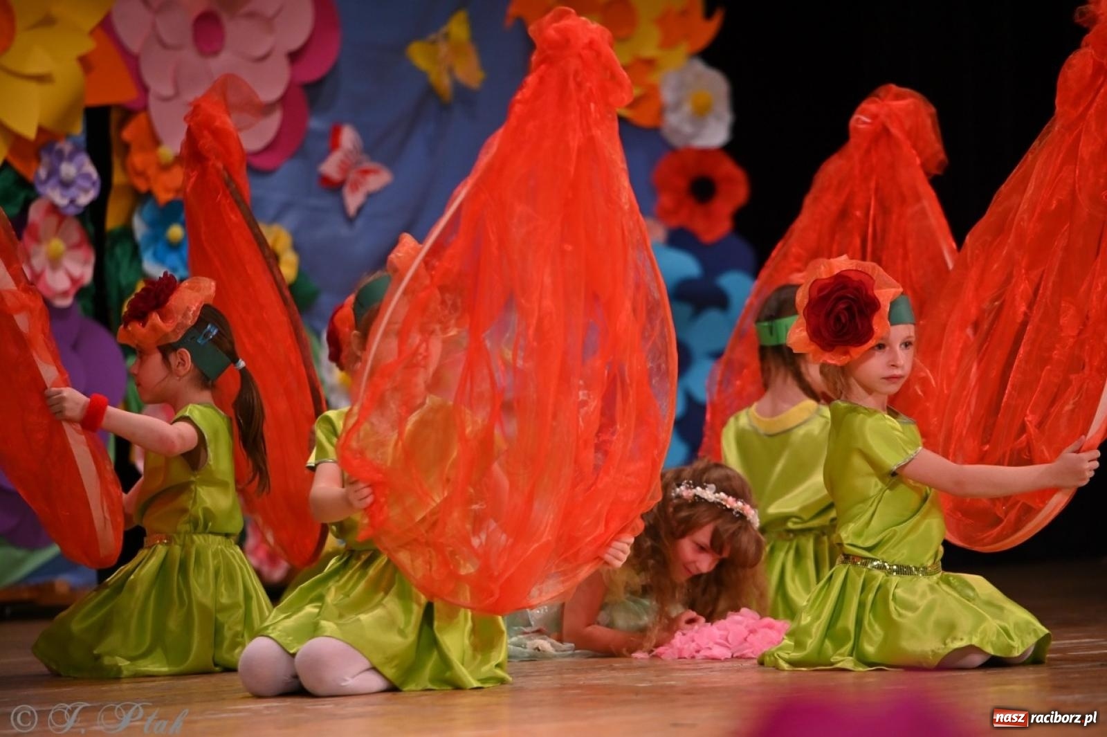 Zdjęcie w galerii na portalu naszraciborz.pl: Dzieci z Przedszkola nr 11 świętowały Dzień Mamy i Taty na scenie RCK wiadomości z regionu