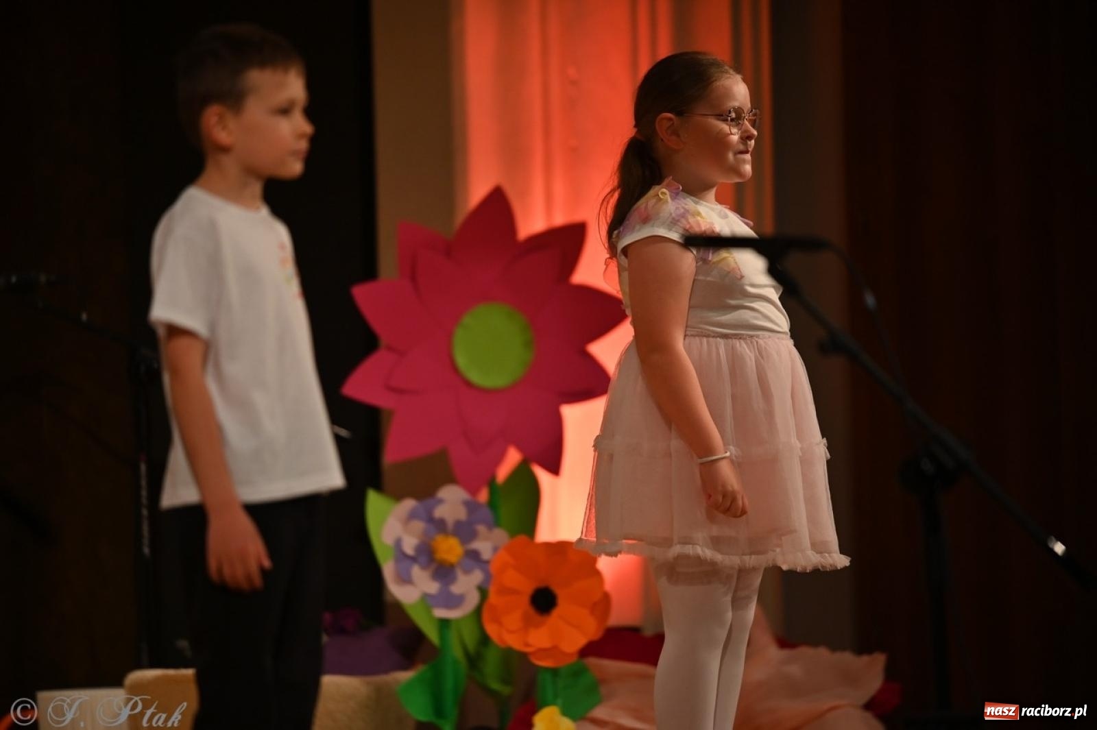 Zdjęcie w galerii na portalu naszraciborz.pl: Dzieci z Przedszkola nr 11 świętowały Dzień Mamy i Taty na scenie RCK wiadomości z regionu