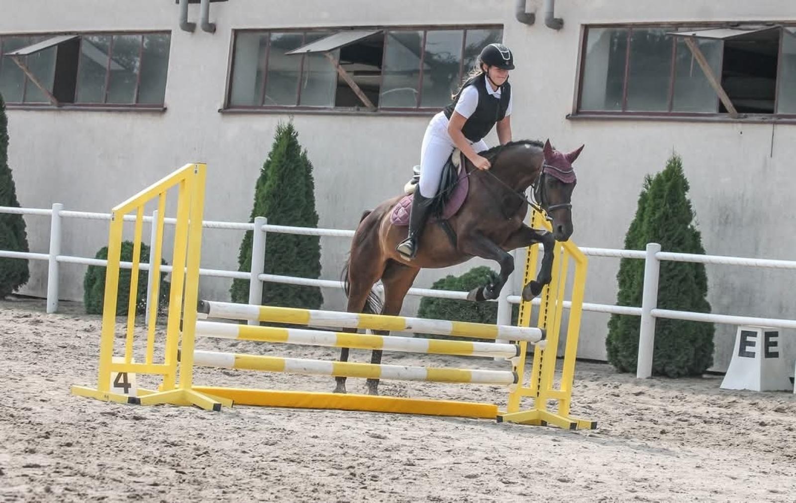 Zdjęcie w galerii na portalu naszraciborz.pl: Otwarte zawody jeździeckie w Pietrowicach Wielkich wiadomości z regionu