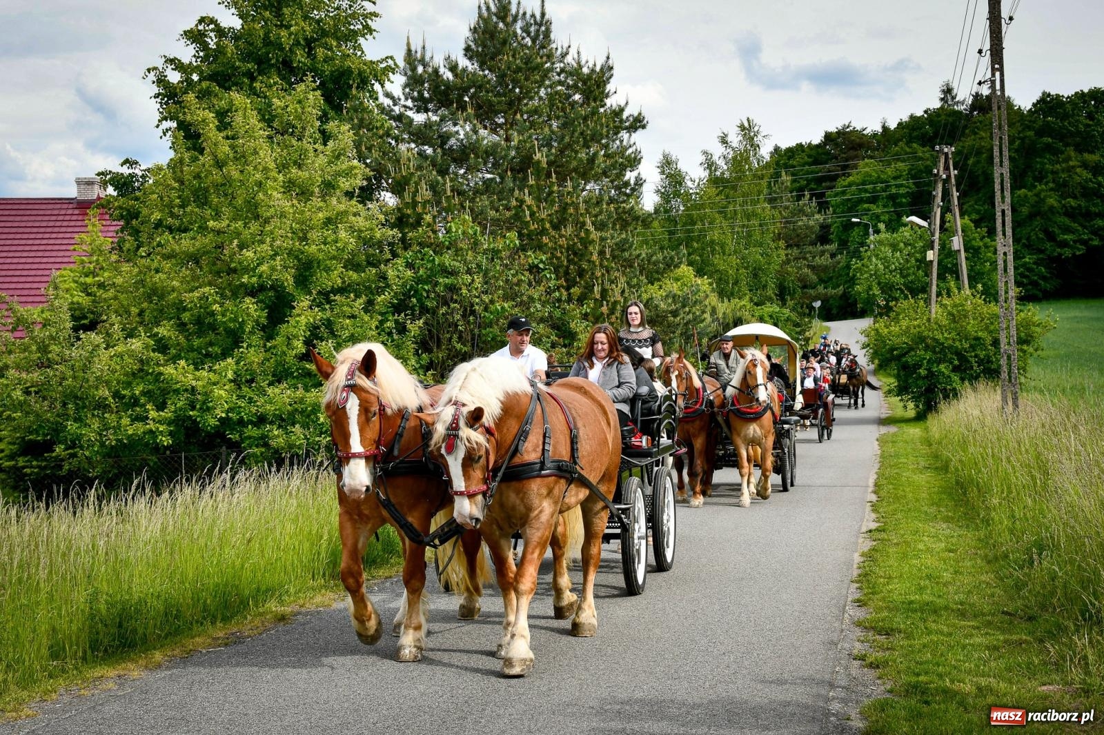 Zdjęcie w galerii na portalu naszraciborz.pl: W Brzeziu odbyła się procesja na św. Urbana: tradycja i duchowa wartość [FOTO i WIDEO] wiadomości z regionu
