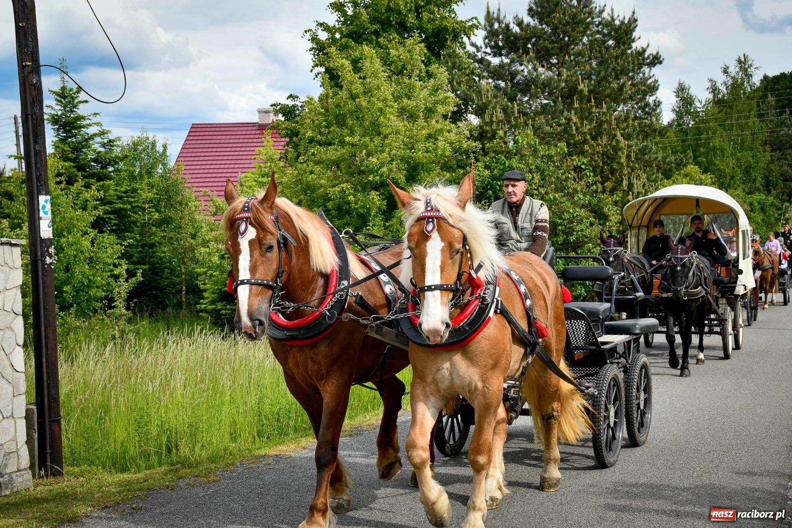 Zdjęcie w galerii na portalu naszraciborz.pl: W Brzeziu odbyła się procesja na św. Urbana: tradycja i duchowa wartość [FOTO i WIDEO] wiadomości z regionu