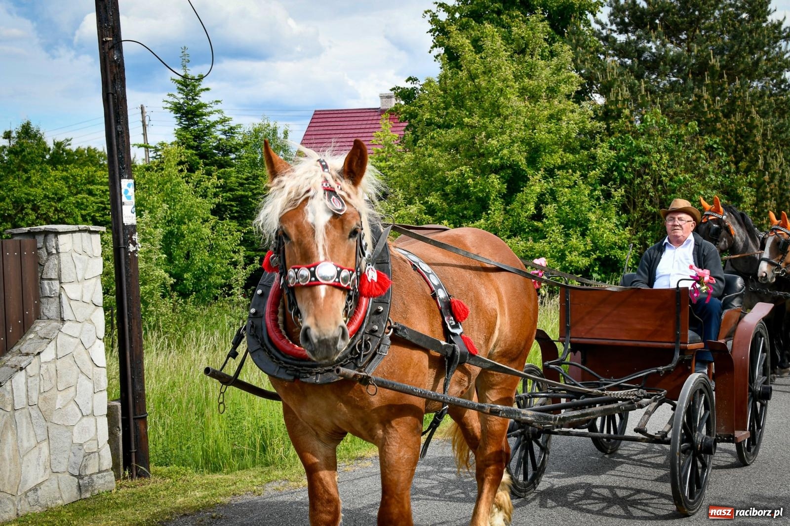 Zdjęcie w galerii na portalu naszraciborz.pl: W Brzeziu odbyła się procesja na św. Urbana: tradycja i duchowa wartość [FOTO i WIDEO] wiadomości z regionu