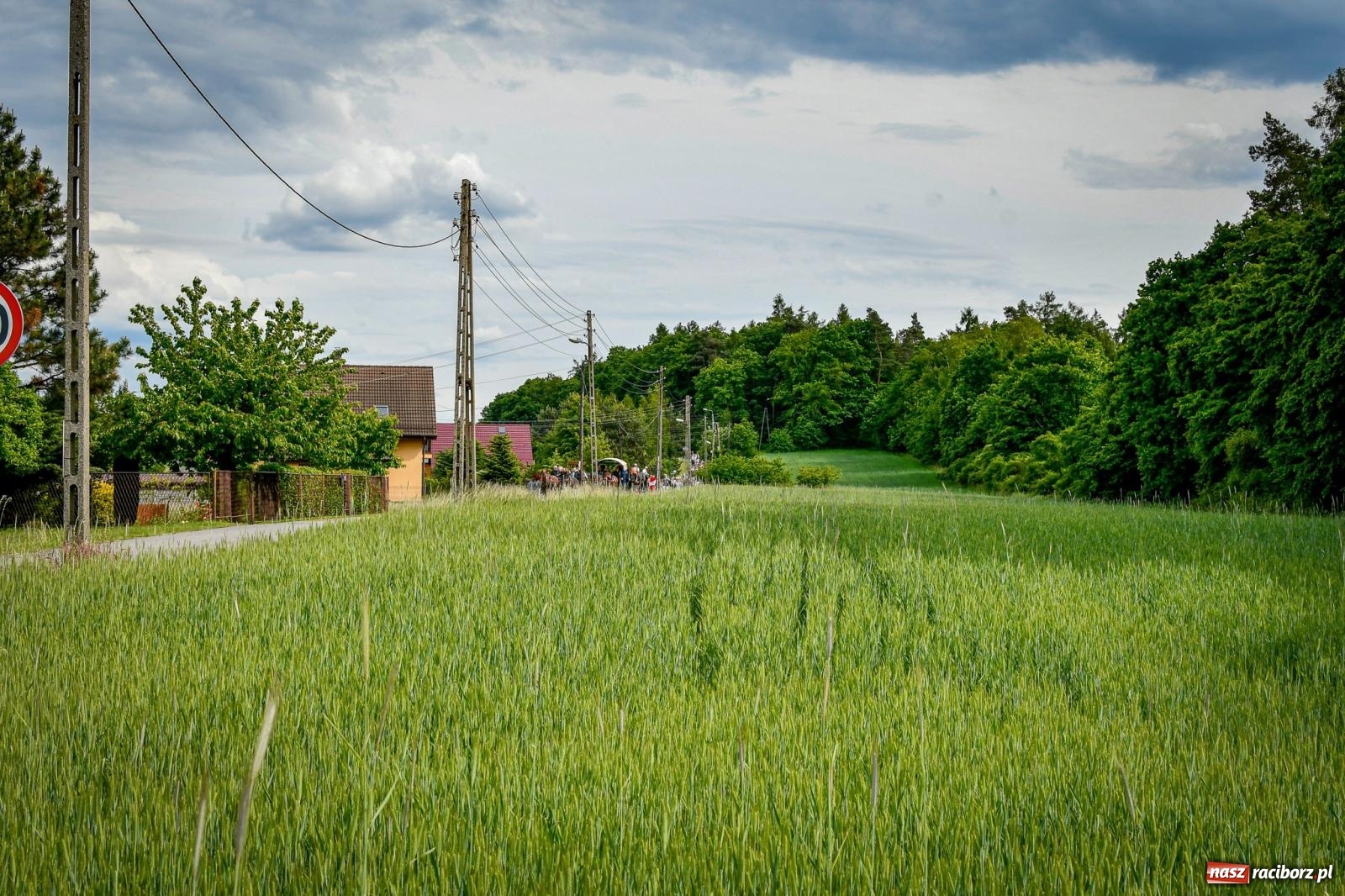 Zdjęcie w galerii na portalu naszraciborz.pl: W Brzeziu odbyła się procesja na św. Urbana: tradycja i duchowa wartość [FOTO i WIDEO] wiadomości z regionu