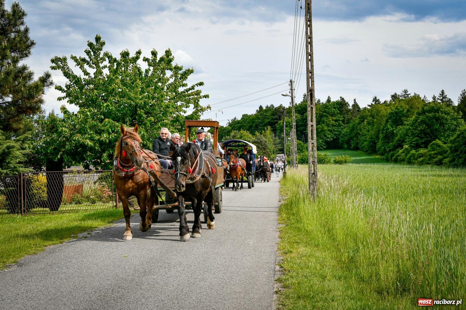 Zdjęcie w galerii na portalu naszraciborz.pl: W Brzeziu odbyła się procesja na św. Urbana: tradycja i duchowa wartość [FOTO i WIDEO] wiadomości z regionu