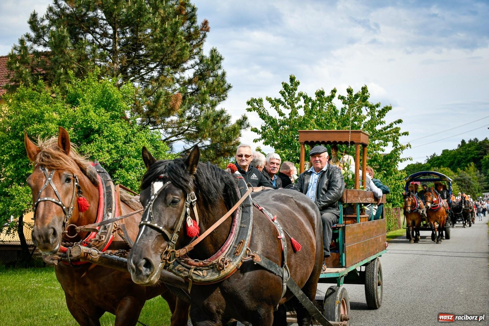 Zdjęcie w galerii na portalu naszraciborz.pl: W Brzeziu odbyła się procesja na św. Urbana: tradycja i duchowa wartość [FOTO i WIDEO] wiadomości z regionu