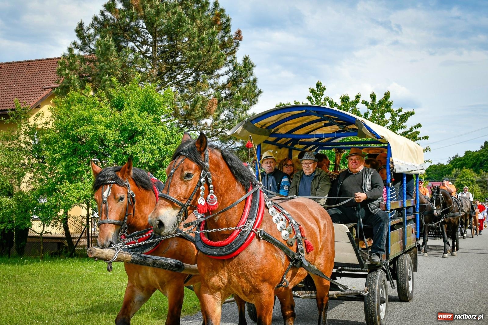 Zdjęcie w galerii na portalu naszraciborz.pl: W Brzeziu odbyła się procesja na św. Urbana: tradycja i duchowa wartość [FOTO i WIDEO] wiadomości z regionu