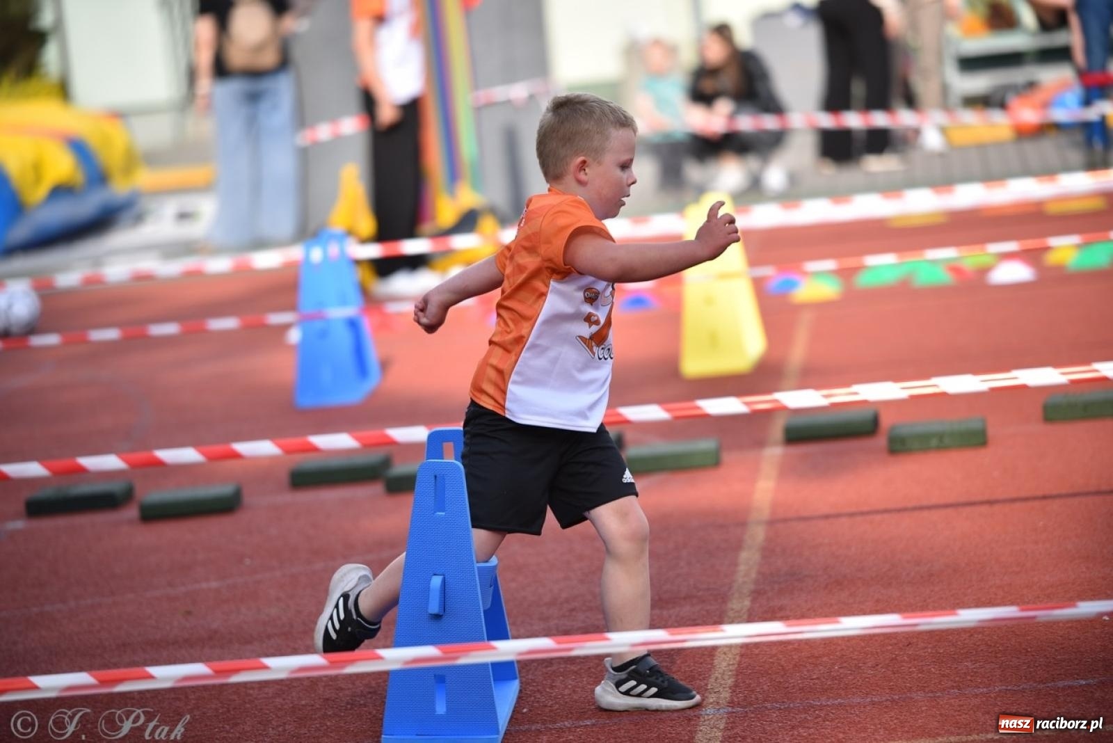 Zdjęcie w galerii na portalu naszraciborz.pl: Raciborski Test Sprawności - dzień pierwszy za nami, dziś drugi dzień ćwiczeń wiadomości z regionu