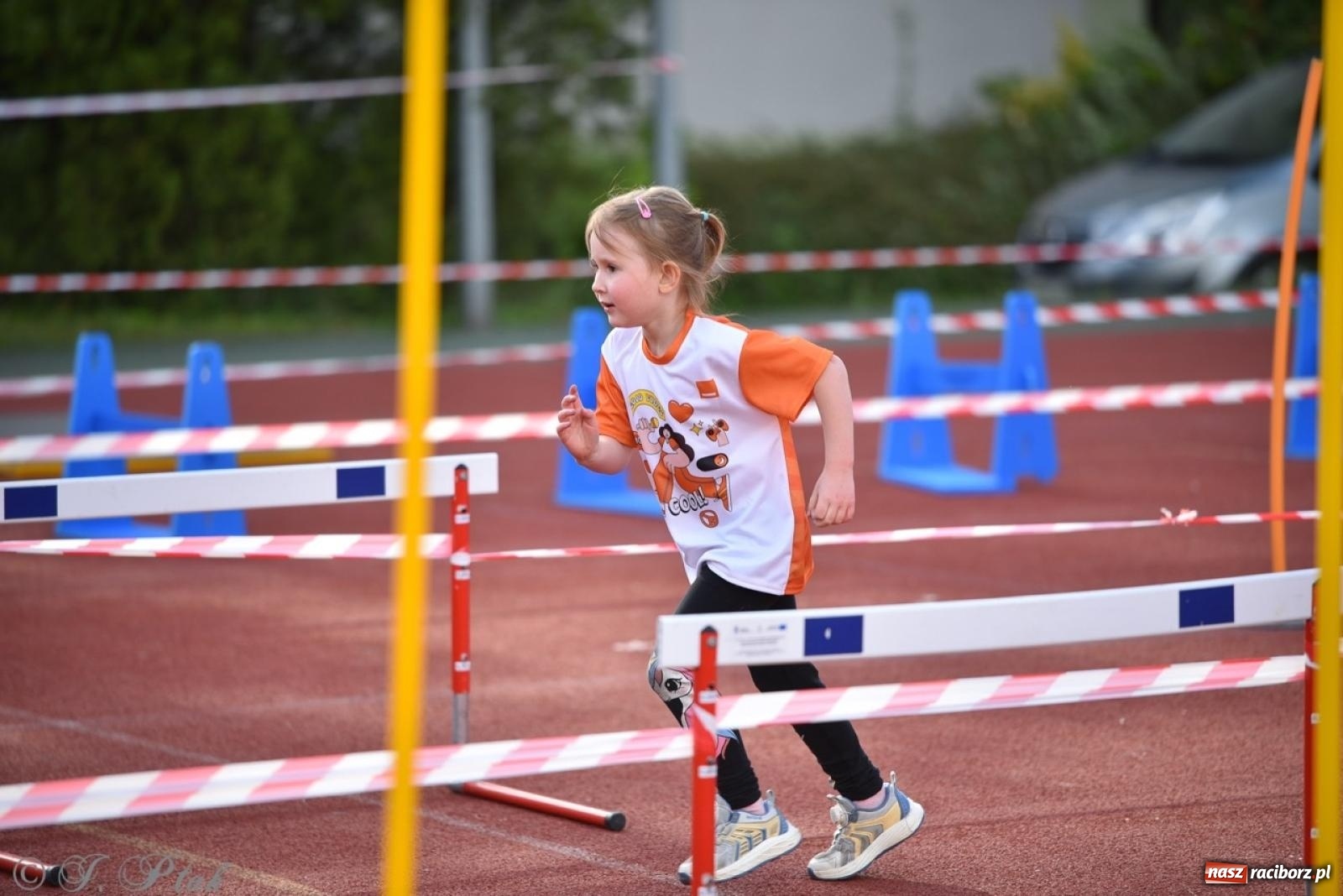 Zdjęcie w galerii na portalu naszraciborz.pl: Raciborski Test Sprawności - dzień pierwszy za nami, dziś drugi dzień ćwiczeń wiadomości z regionu