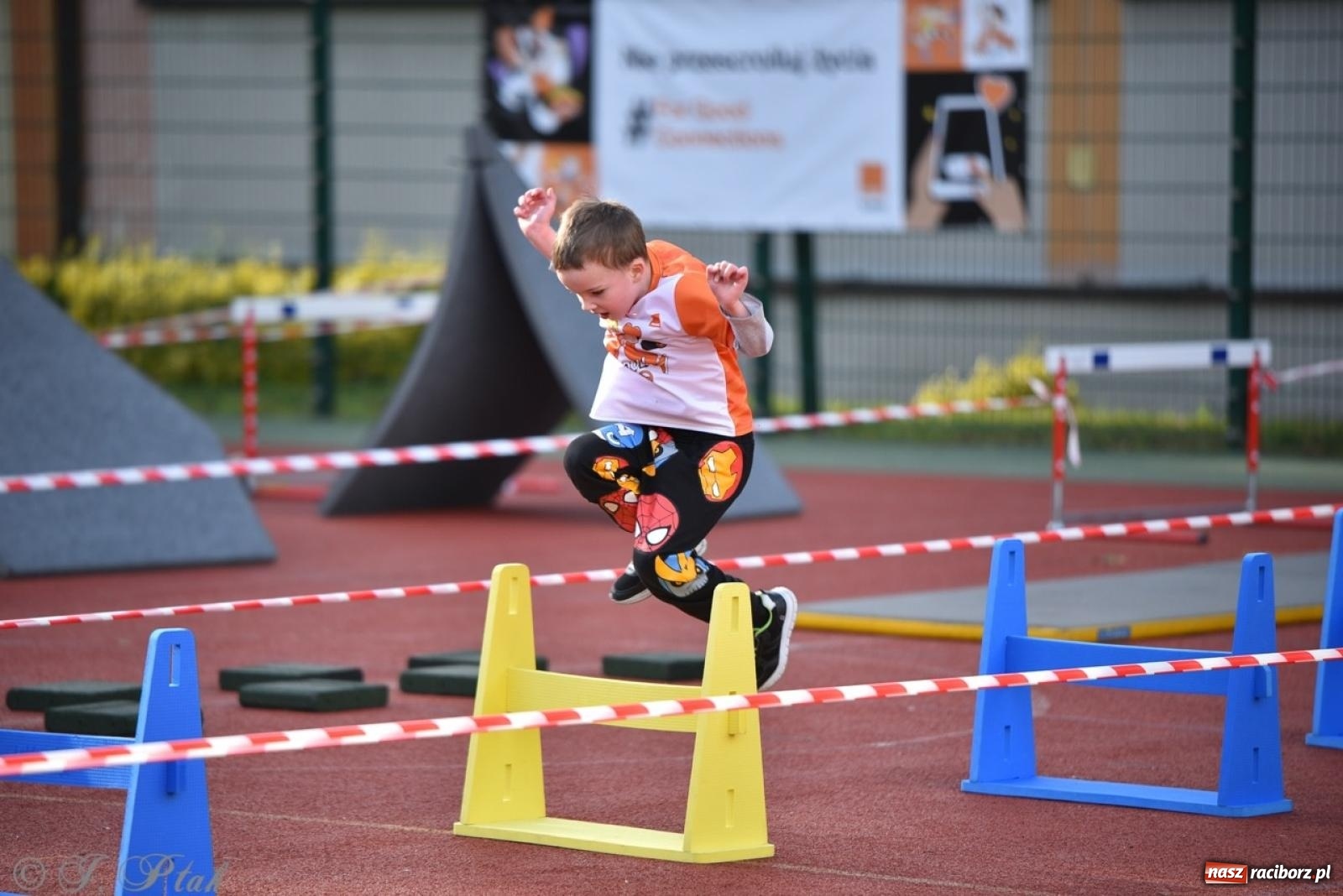 Zdjęcie w galerii na portalu naszraciborz.pl: Raciborski Test Sprawności - dzień pierwszy za nami, dziś drugi dzień ćwiczeń wiadomości z regionu