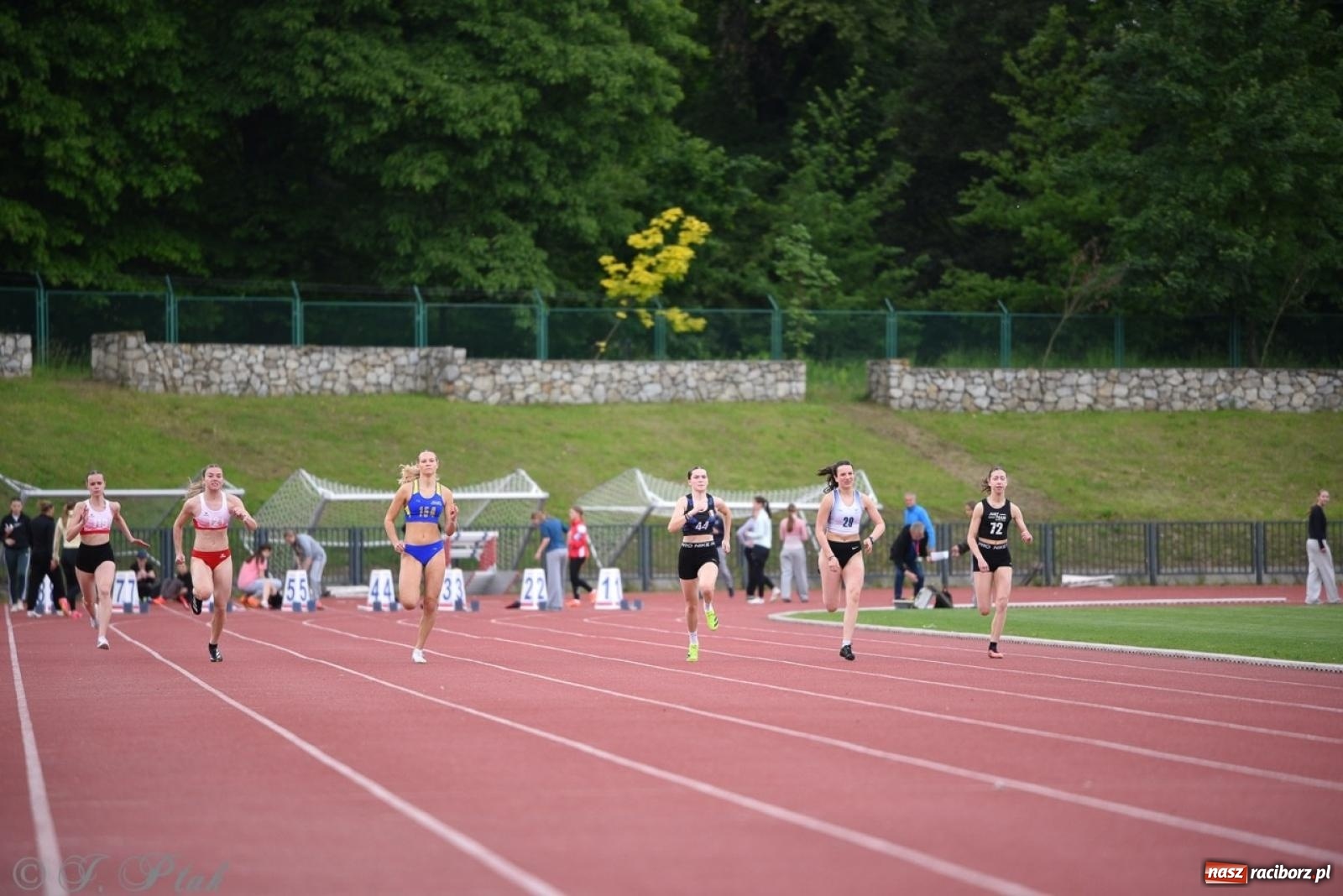 Zdjęcie w galerii na portalu naszraciborz.pl: Mistrzostwa województwa śląskiego w lekkoatletyce w Raciborzu U18, U20 i seniorzy wiadomości z regionu