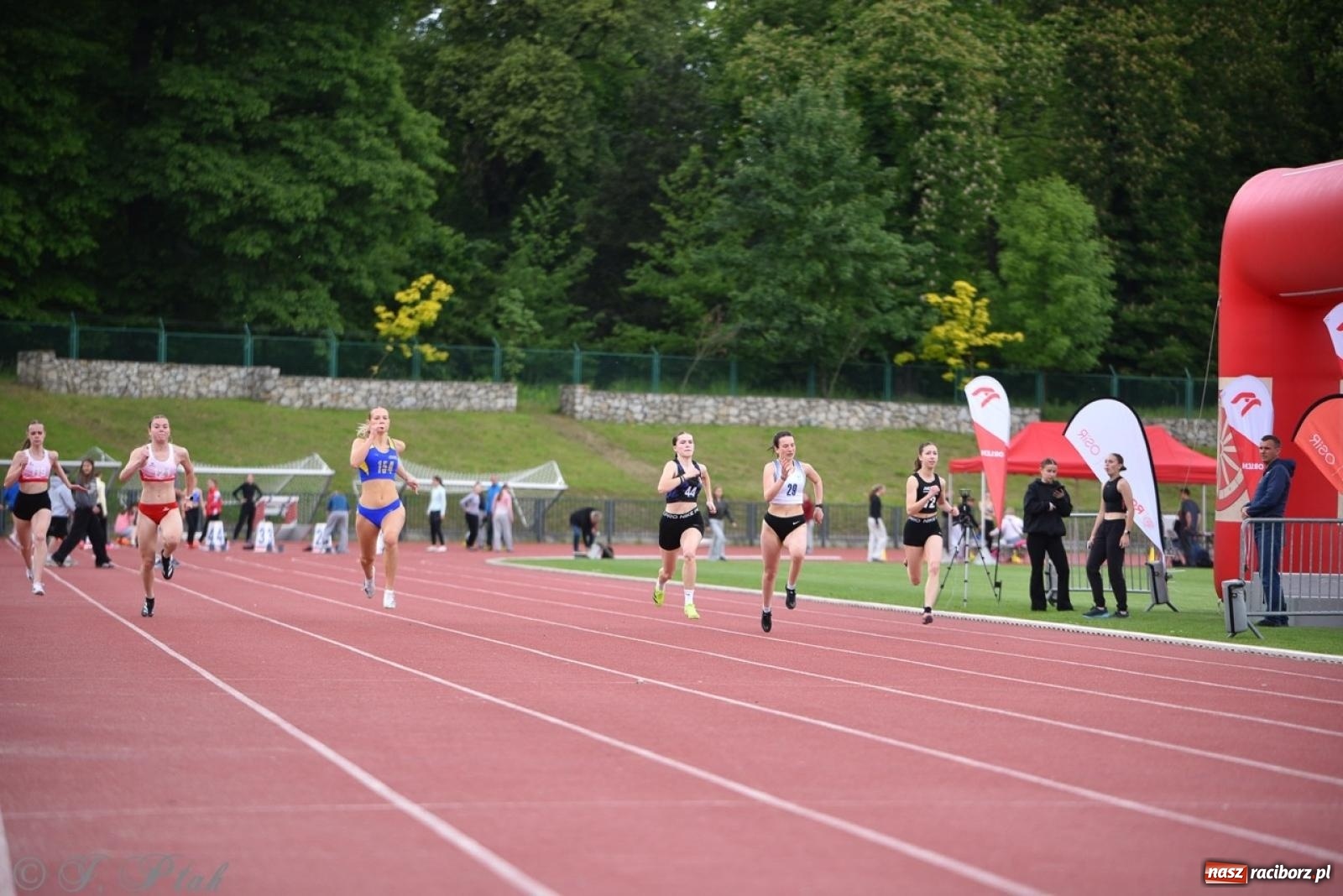 Zdjęcie w galerii na portalu naszraciborz.pl: Mistrzostwa województwa śląskiego w lekkoatletyce w Raciborzu U18, U20 i seniorzy wiadomości z regionu