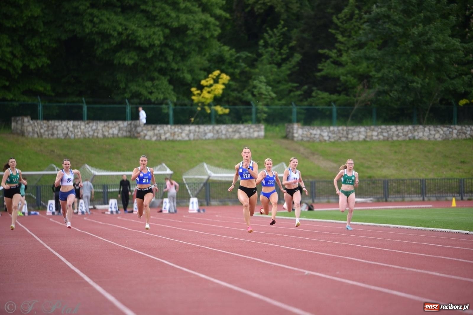 Zdjęcie w galerii na portalu naszraciborz.pl: Mistrzostwa województwa śląskiego w lekkoatletyce w Raciborzu U18, U20 i seniorzy wiadomości z regionu