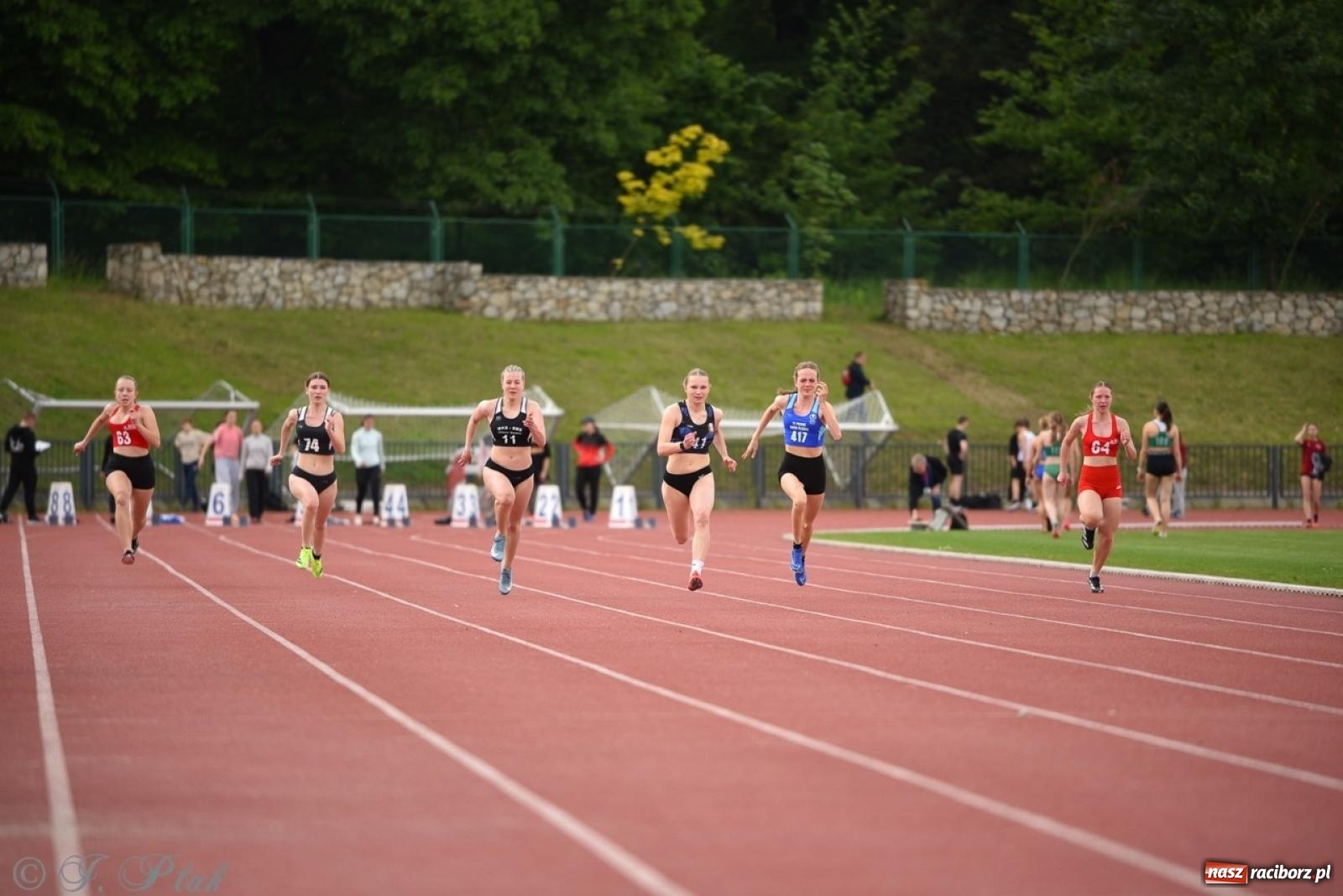 Zdjęcie w galerii na portalu naszraciborz.pl: Mistrzostwa województwa śląskiego w lekkoatletyce w Raciborzu U18, U20 i seniorzy wiadomości z regionu