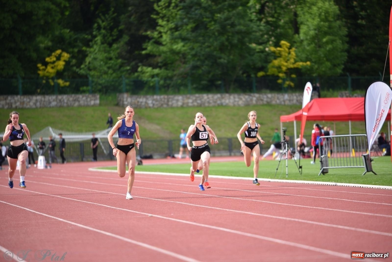 Zdjęcie w galerii na portalu naszraciborz.pl: Mistrzostwa województwa śląskiego w lekkoatletyce w Raciborzu U18, U20 i seniorzy wiadomości z regionu