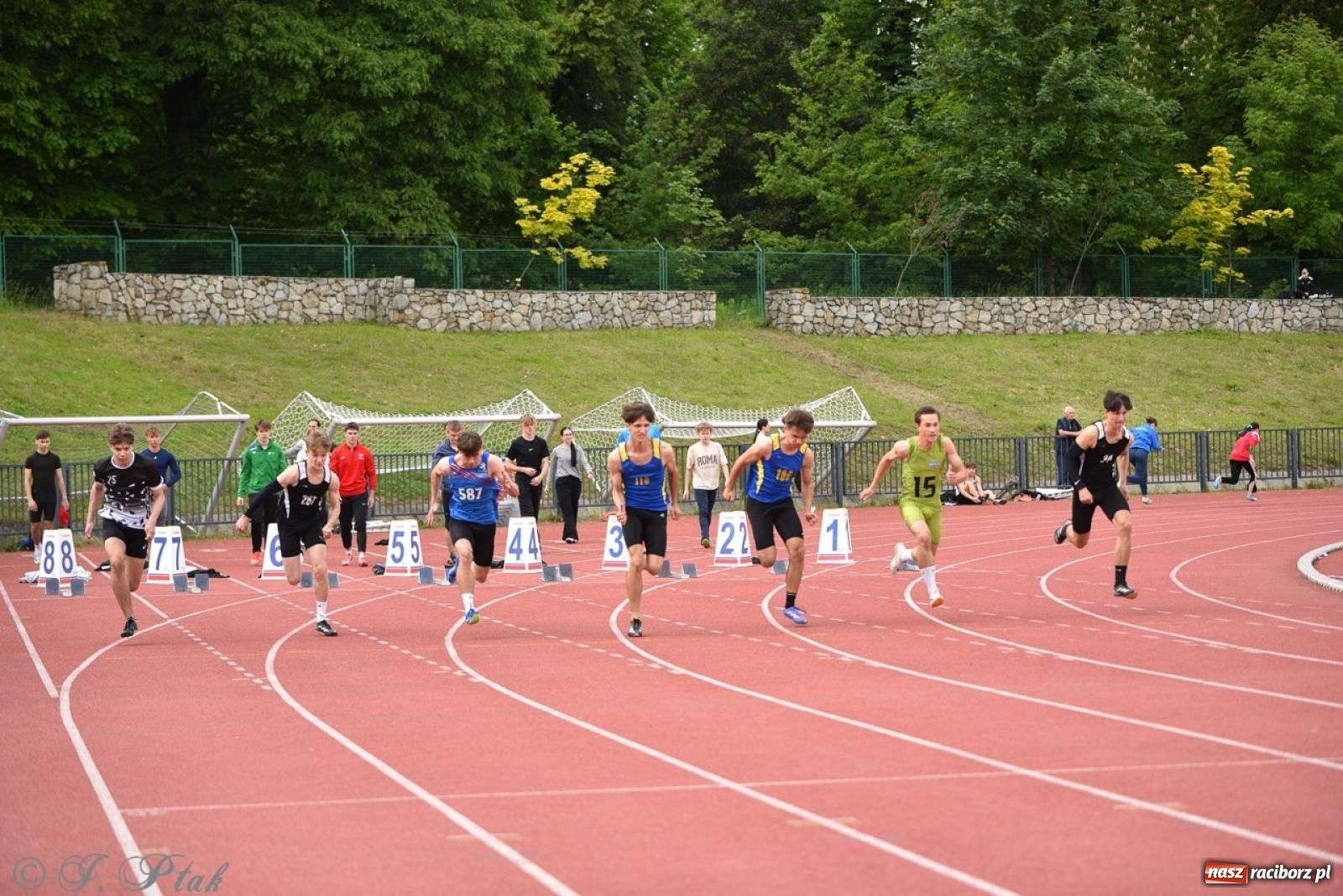 Zdjęcie w galerii na portalu naszraciborz.pl: Mistrzostwa województwa śląskiego w lekkoatletyce w Raciborzu U18, U20 i seniorzy wiadomości z regionu
