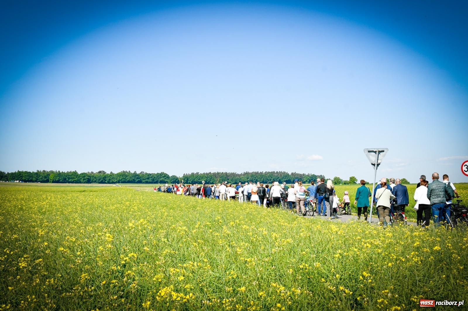 Zdjęcie w galerii na portalu naszraciborz.pl: Pątnicza tradycja w Tworkowie trwa nieprzerwanie – procesja na Urbanek znów połączyła wiernych wiadomości z regionu