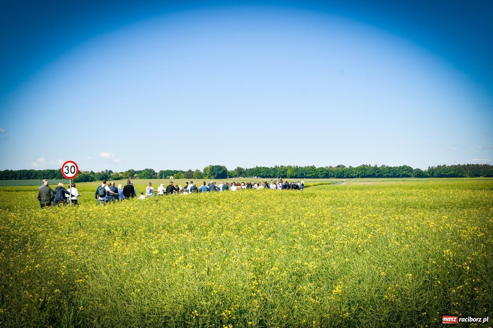 Zdjęcie w galerii na portalu naszraciborz.pl: Pątnicza tradycja w Tworkowie trwa nieprzerwanie – procesja na Urbanek znów połączyła wiernych wiadomości z regionu