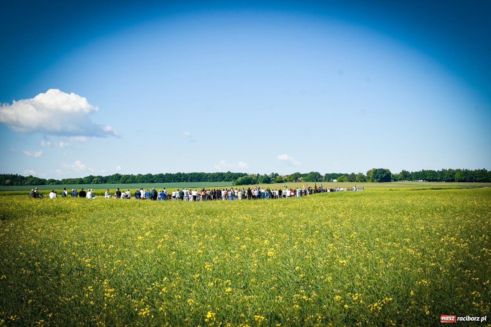 Zdjęcie w galerii na portalu naszraciborz.pl: Pątnicza tradycja w Tworkowie trwa nieprzerwanie – procesja na Urbanek znów połączyła wiernych wiadomości z regionu