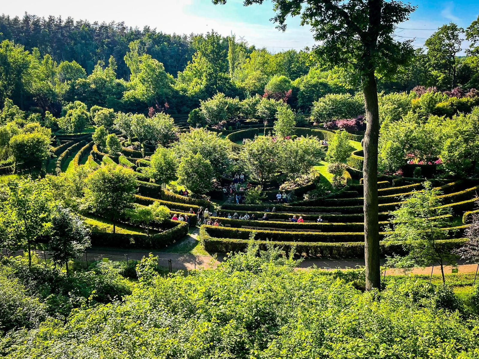 Zdjęcie w galerii na portalu naszraciborz.pl: Muzyka i magia Zaczarowanego Ogrodu – rozpoczęcie letniego cyklu koncertów w Arboretum Bramy Morawskiej wiadomości z regionu