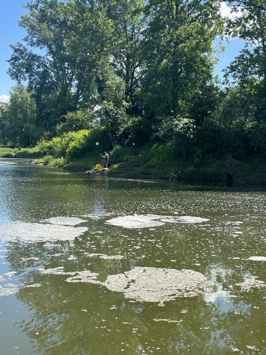 Zdjęcie w galerii na portalu naszraciborz.pl: Wędkarze rywalizowali o Puchar Dyrektora Tokai Cobex w Raciborzu wiadomości z regionu
