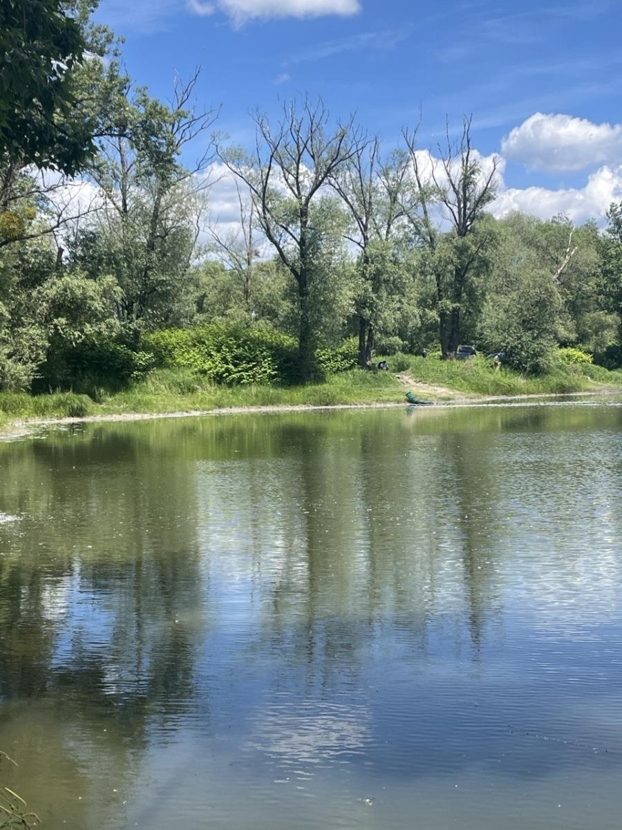 Zdjęcie w galerii na portalu naszraciborz.pl: Wędkarze rywalizowali o Puchar Dyrektora Tokai Cobex w Raciborzu wiadomości z regionu