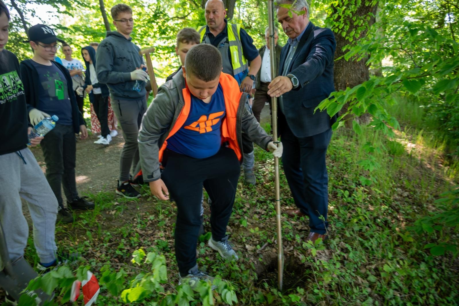 Zdjęcie w galerii na portalu naszraciborz.pl: Wspólne Drzewo – Wspólna Przyszłość: Zielona Akcja Gminy Krzyżanowice, Meander Banku i Szkoły w Tworkowie wiadomości z regionu