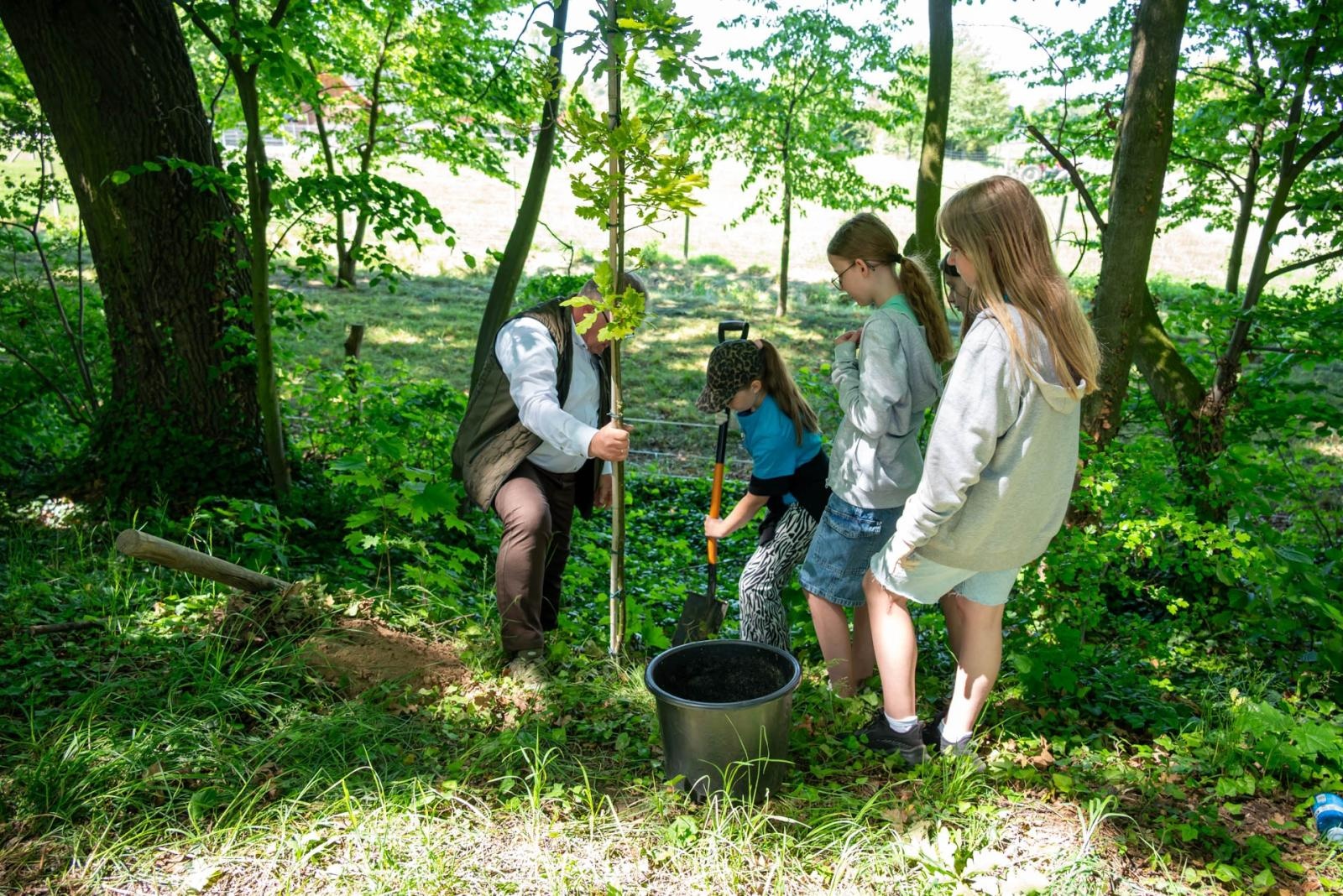 Zdjęcie w galerii na portalu naszraciborz.pl: Wspólne Drzewo – Wspólna Przyszłość: Zielona Akcja Gminy Krzyżanowice, Meander Banku i Szkoły w Tworkowie wiadomości z regionu