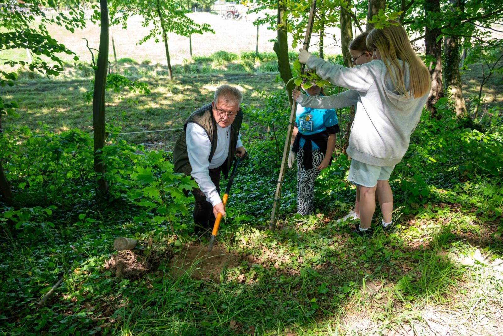 Zdjęcie w galerii na portalu naszraciborz.pl: Wspólne Drzewo – Wspólna Przyszłość: Zielona Akcja Gminy Krzyżanowice, Meander Banku i Szkoły w Tworkowie wiadomości z regionu